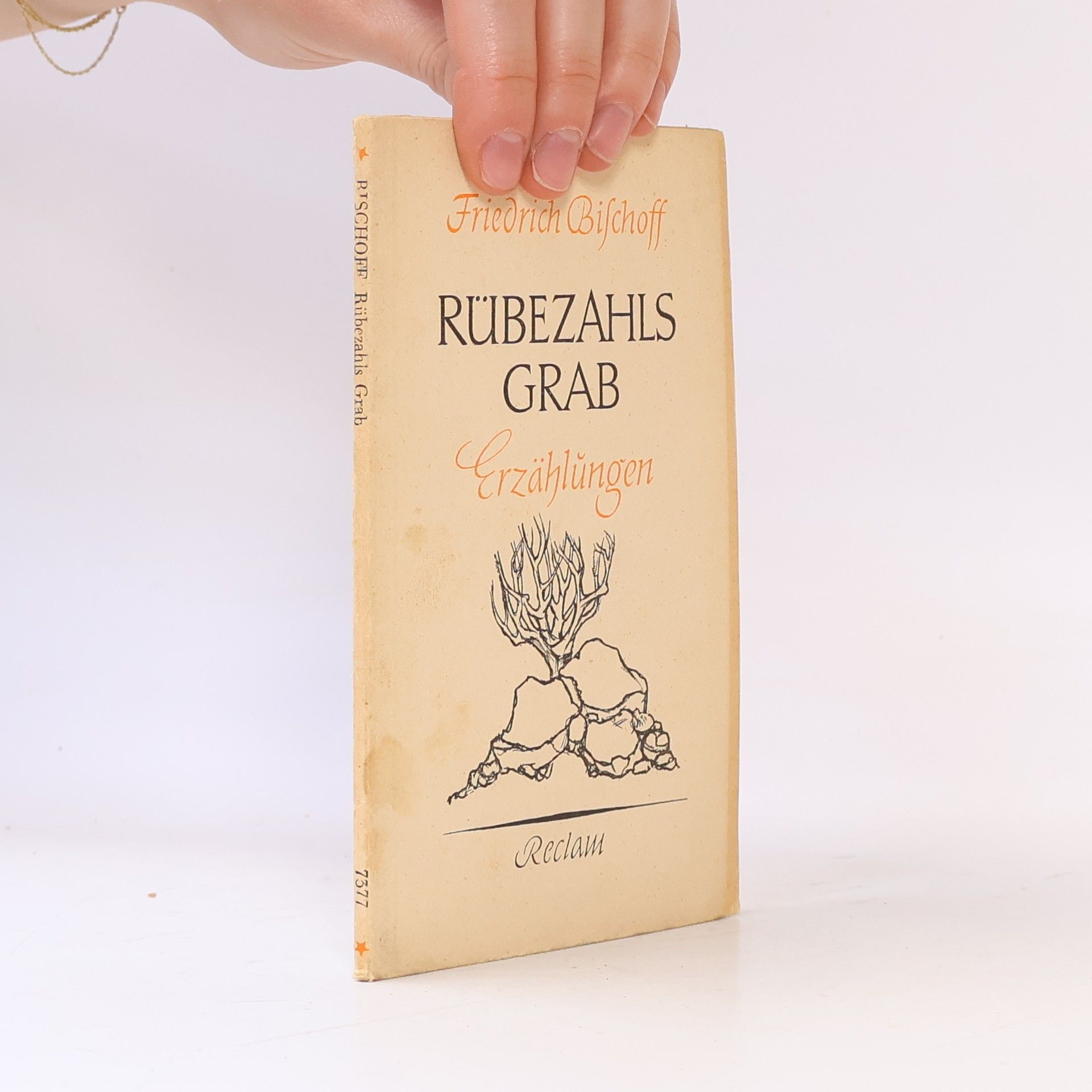Rübezahls Grab: Erzählungen