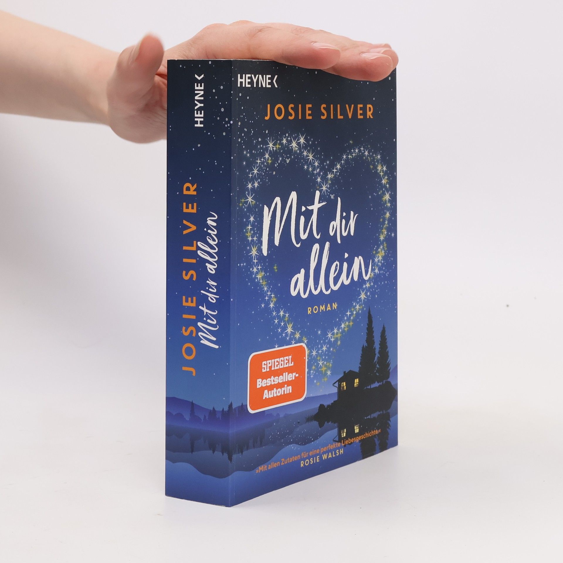Josie Silver Mit dir allein