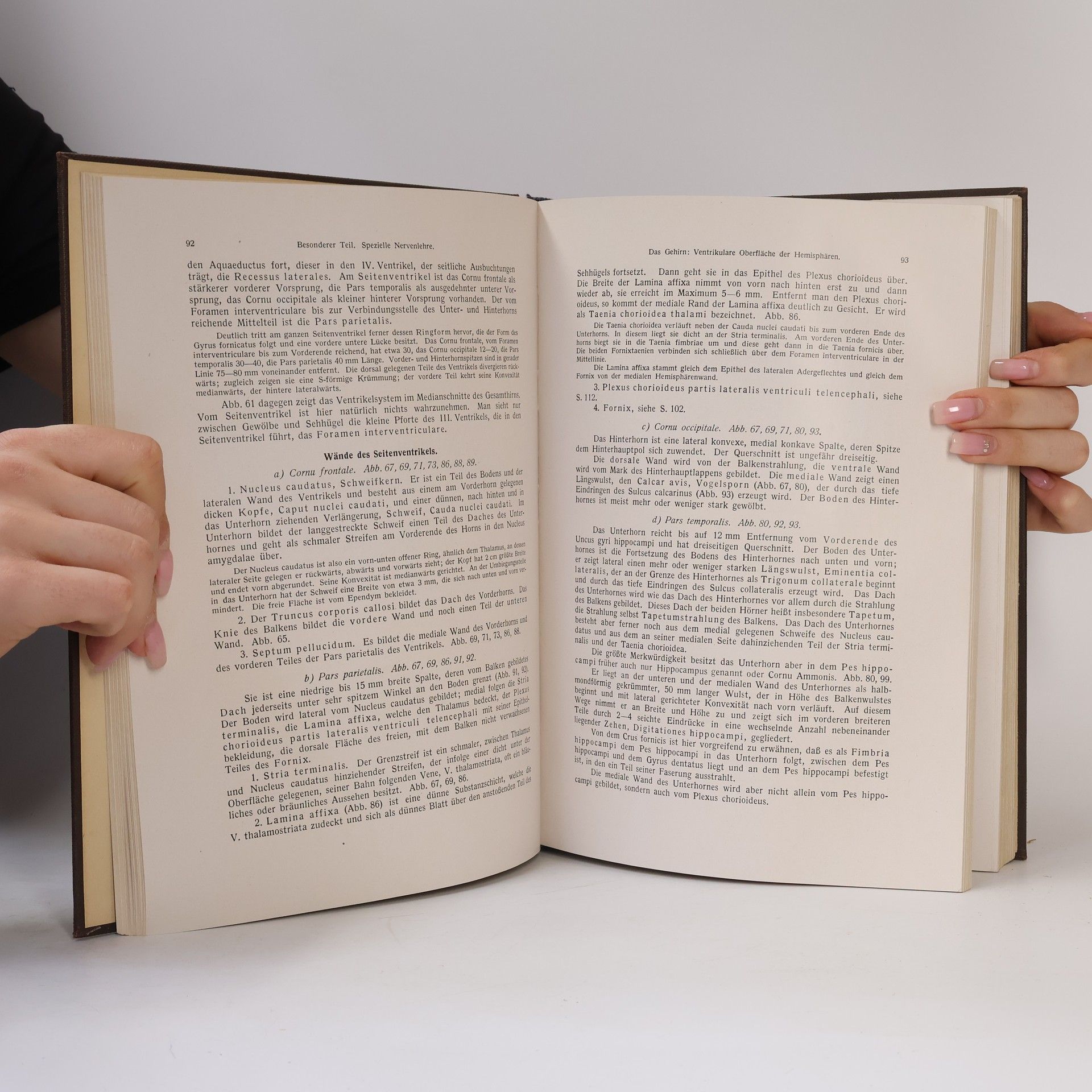 Friedrich Kopsch Lehrbuch und Atlas der Anatomie des Menschen (Band III)