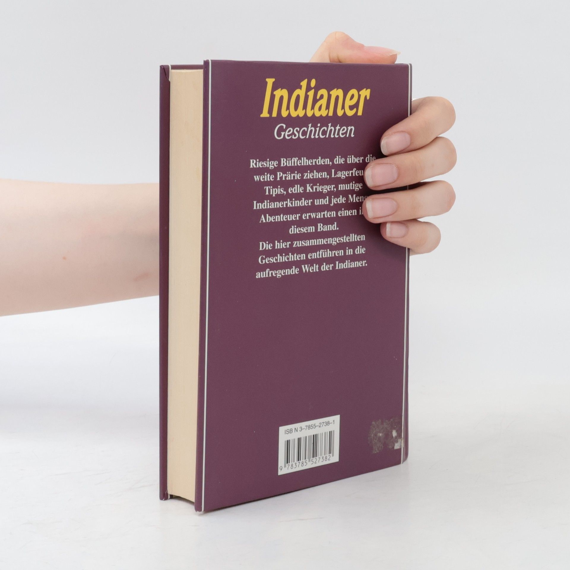 Indianergeschichten