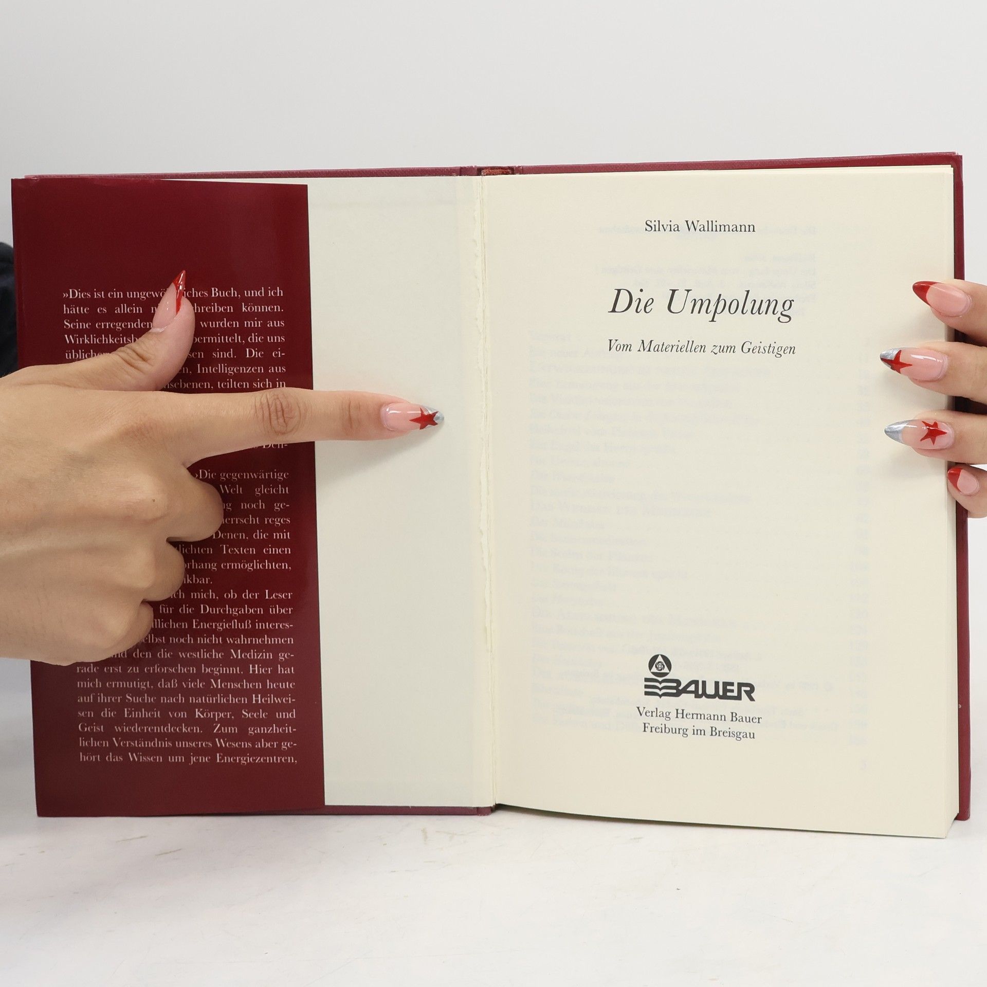 Silvia Wallimann Die Umpolung