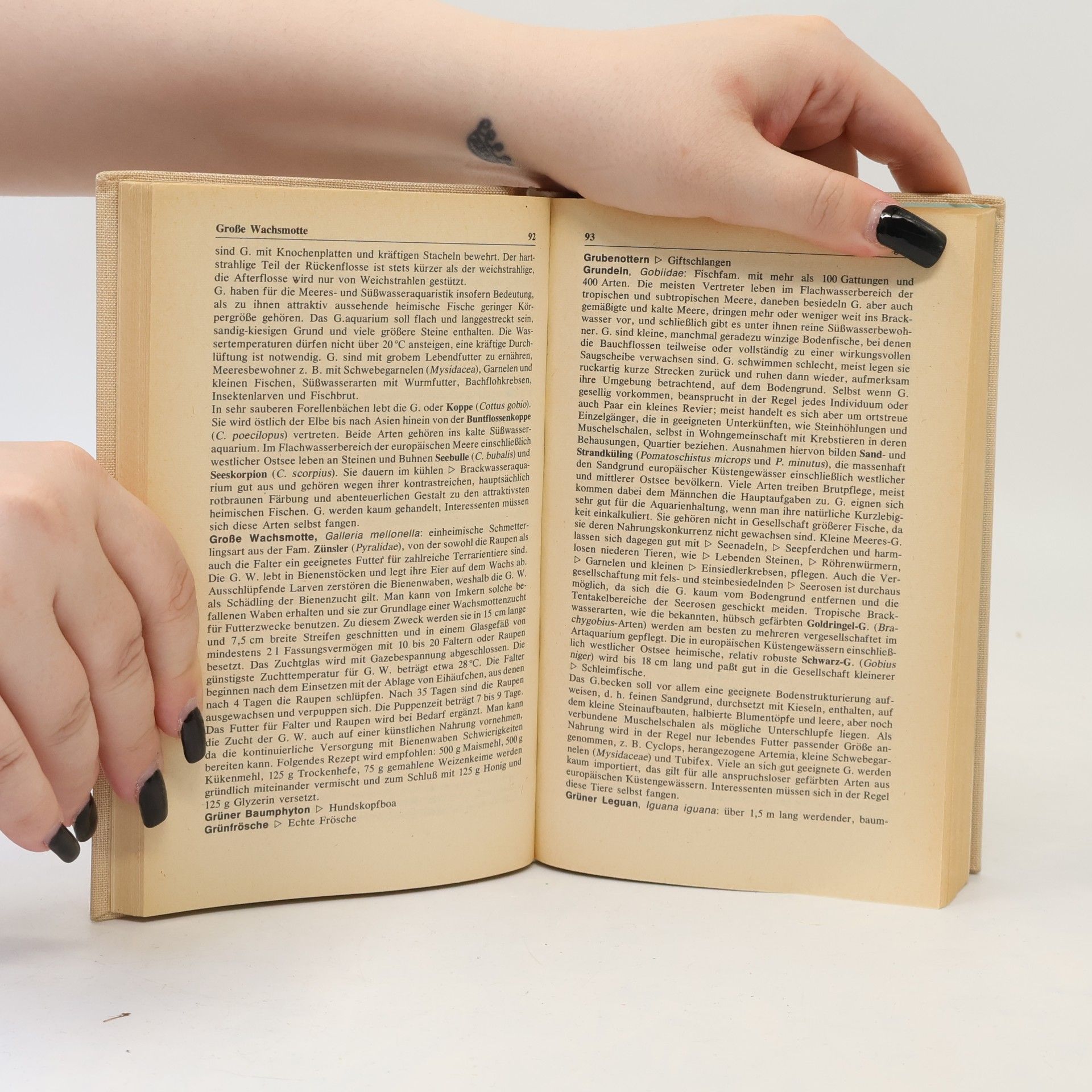 Autorenkollektiv Heimtiere
