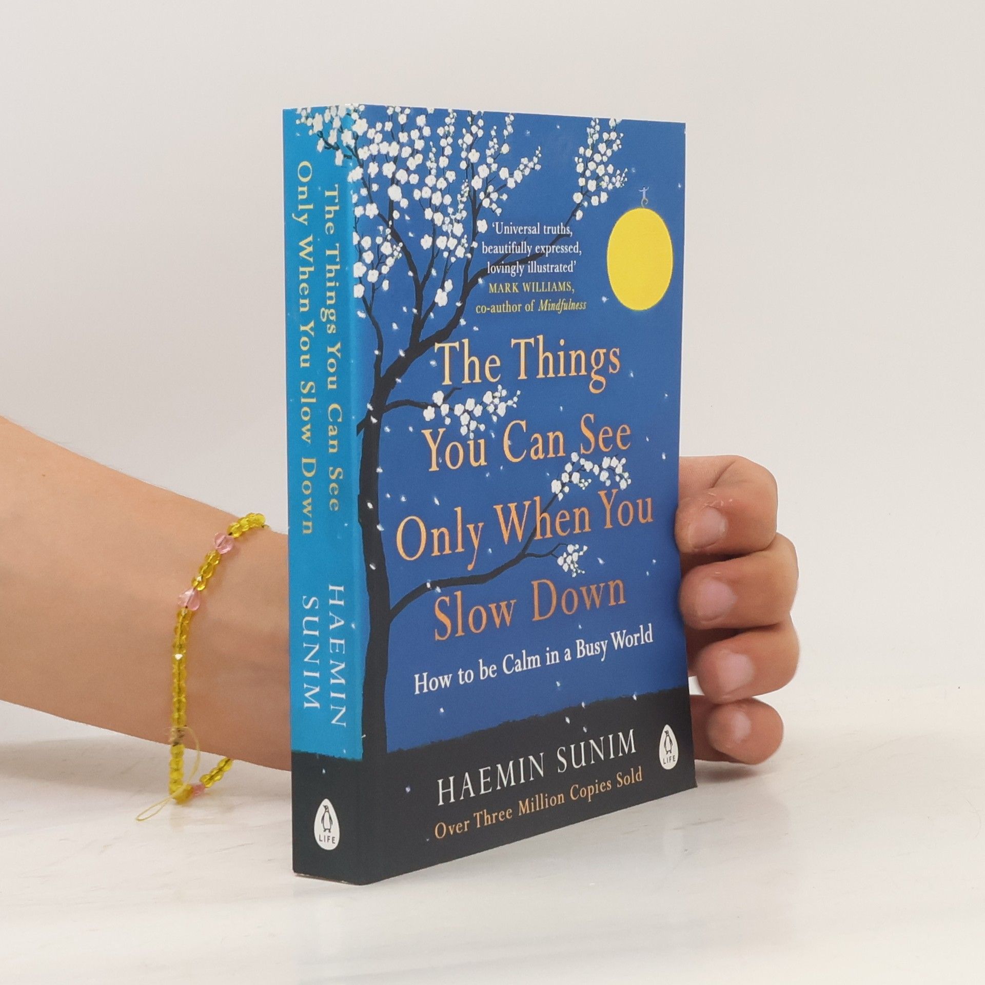 Sunim Haemin The Things You Can See Only When You Slow Down