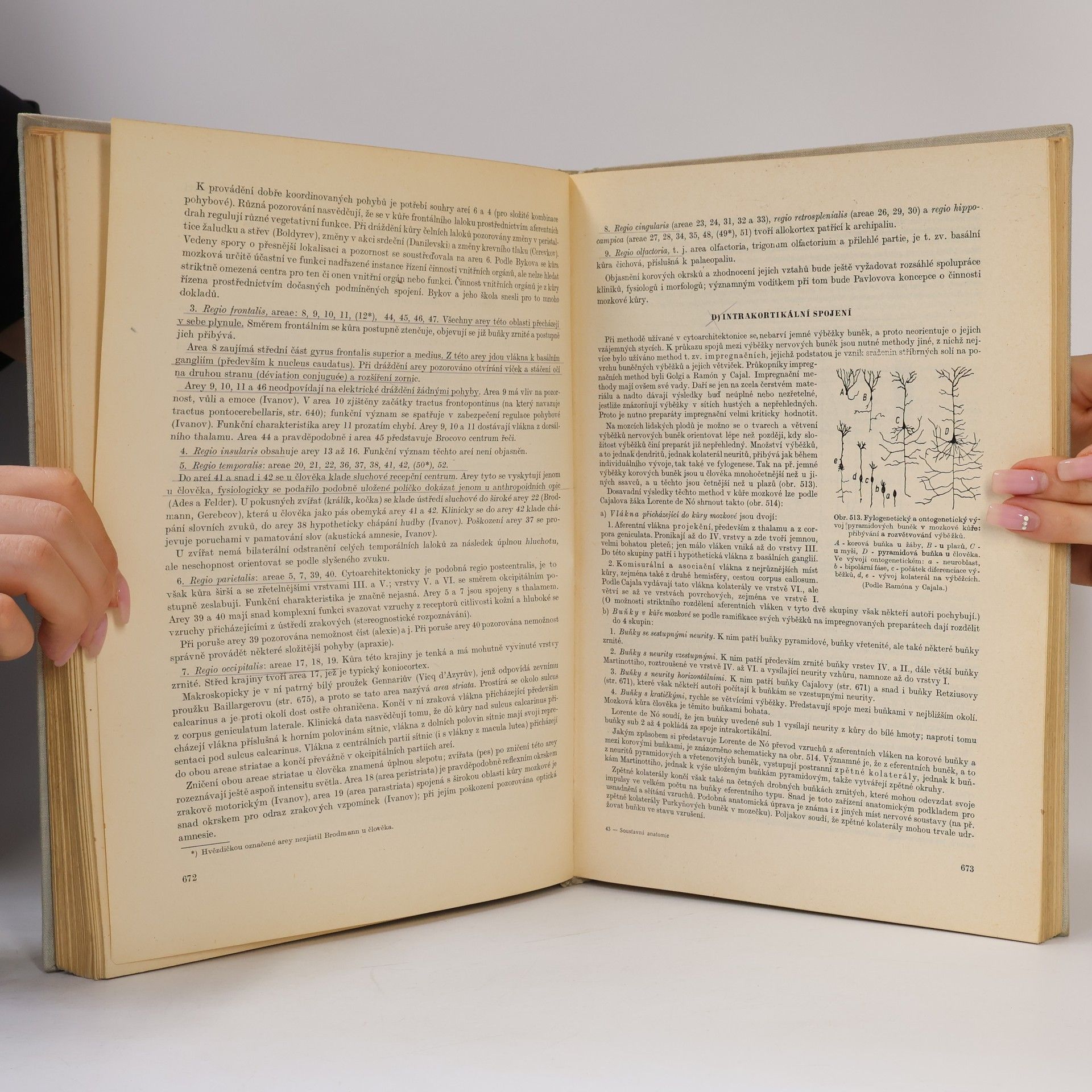 Auteurscollectief Soustavná anatomie člověka II.