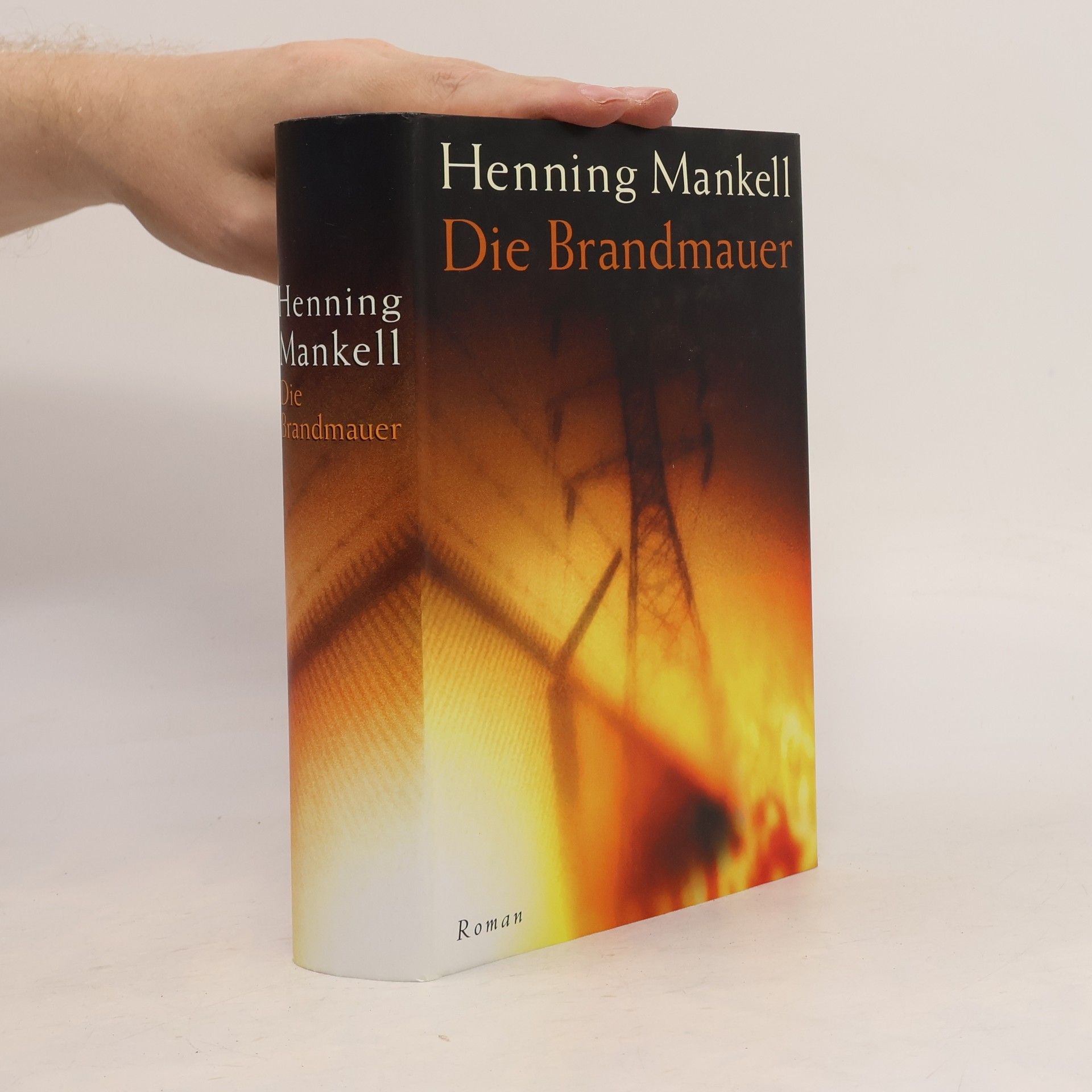Henning Mankell Die Brandmauer