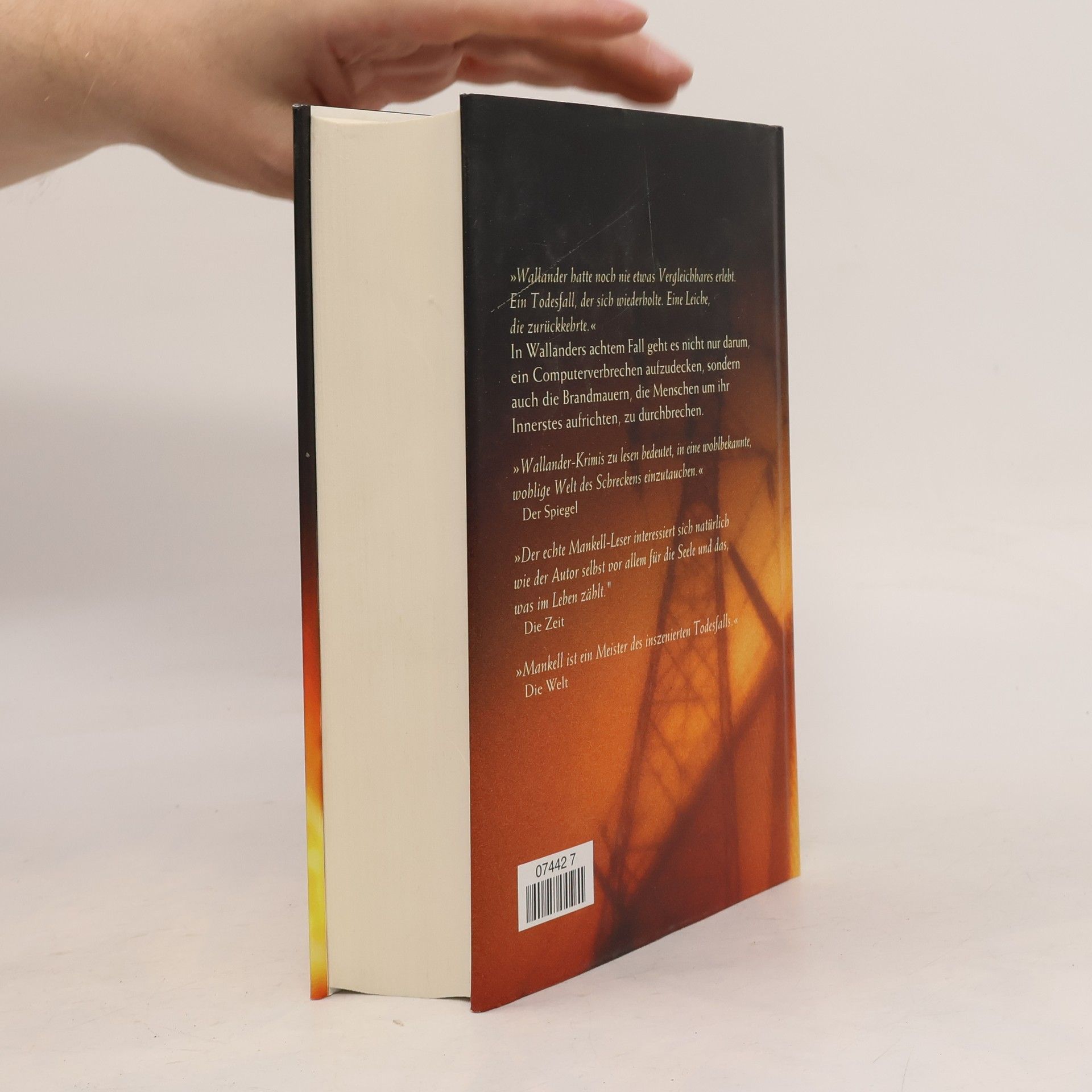 Henning Mankell Die Brandmauer