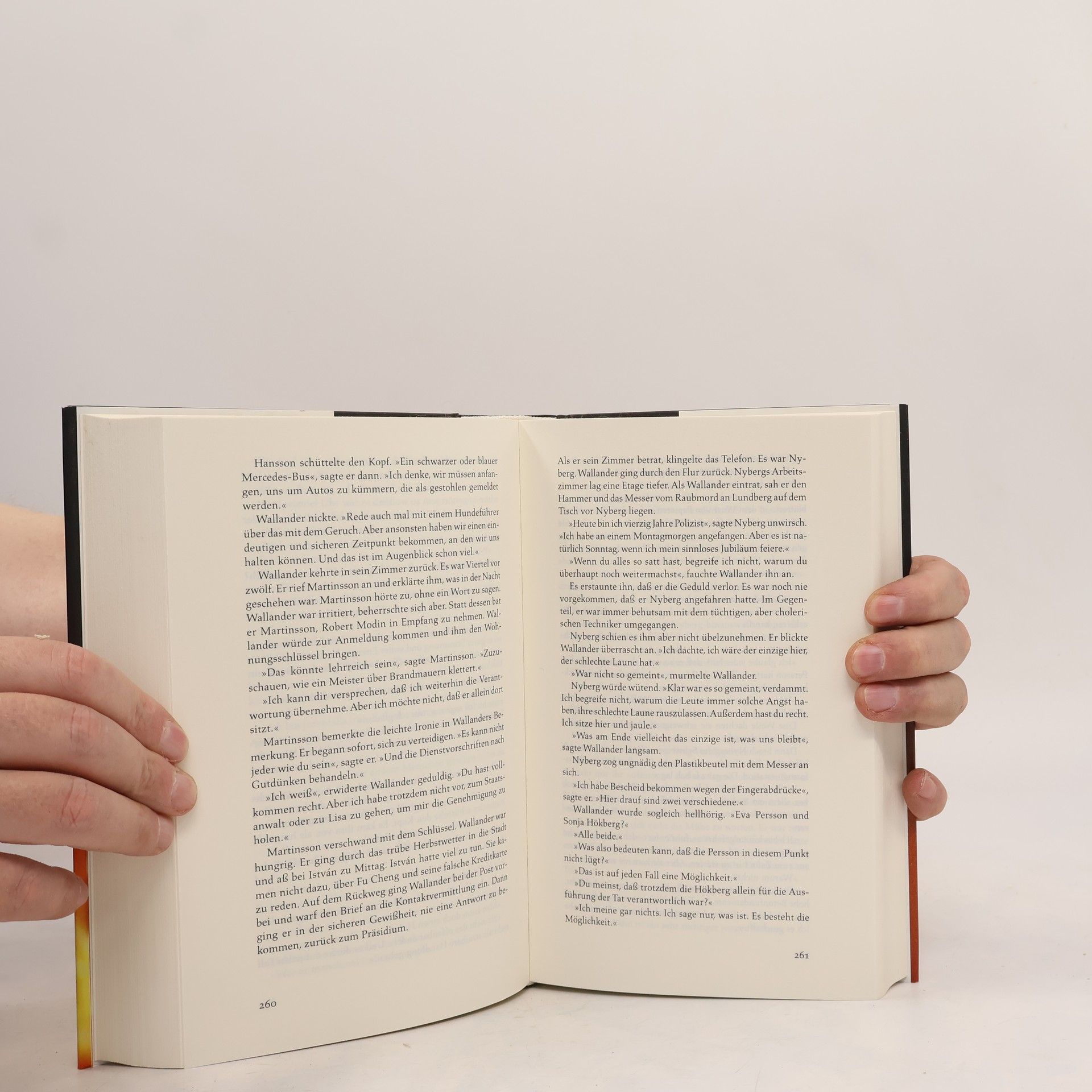 Henning Mankell Die Brandmauer