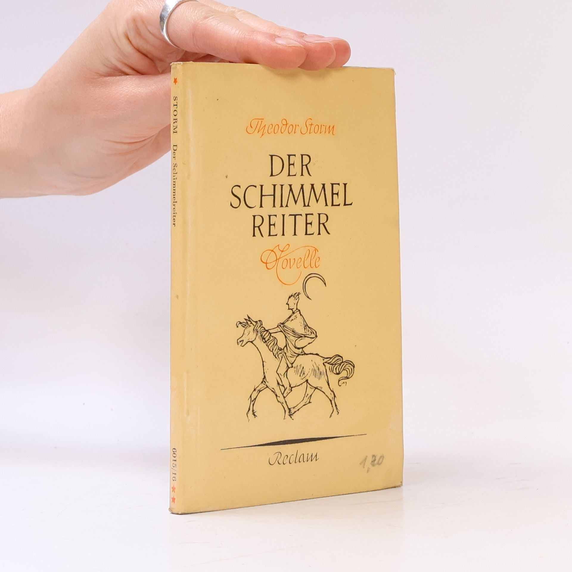 Theodor Storm Der schimmel Reiter