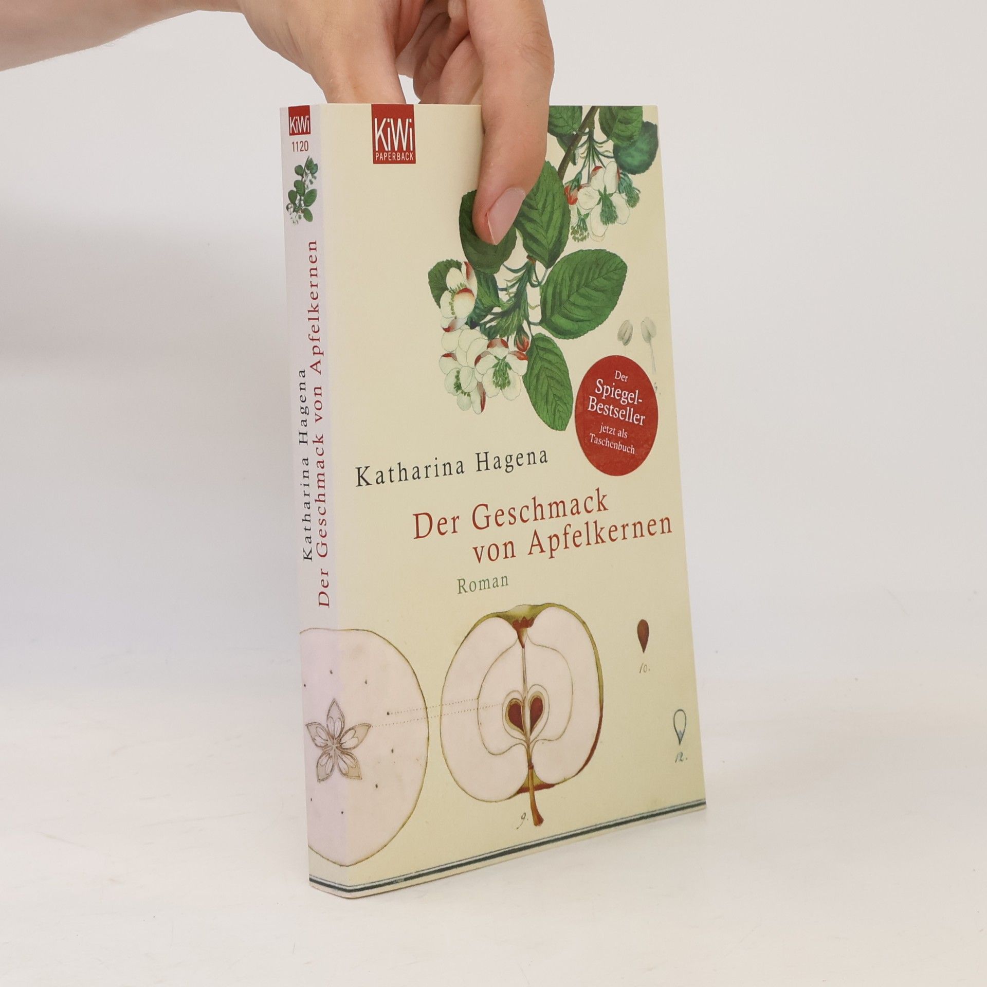 Katharina Hagena Der Geschmack von Apfelkernen