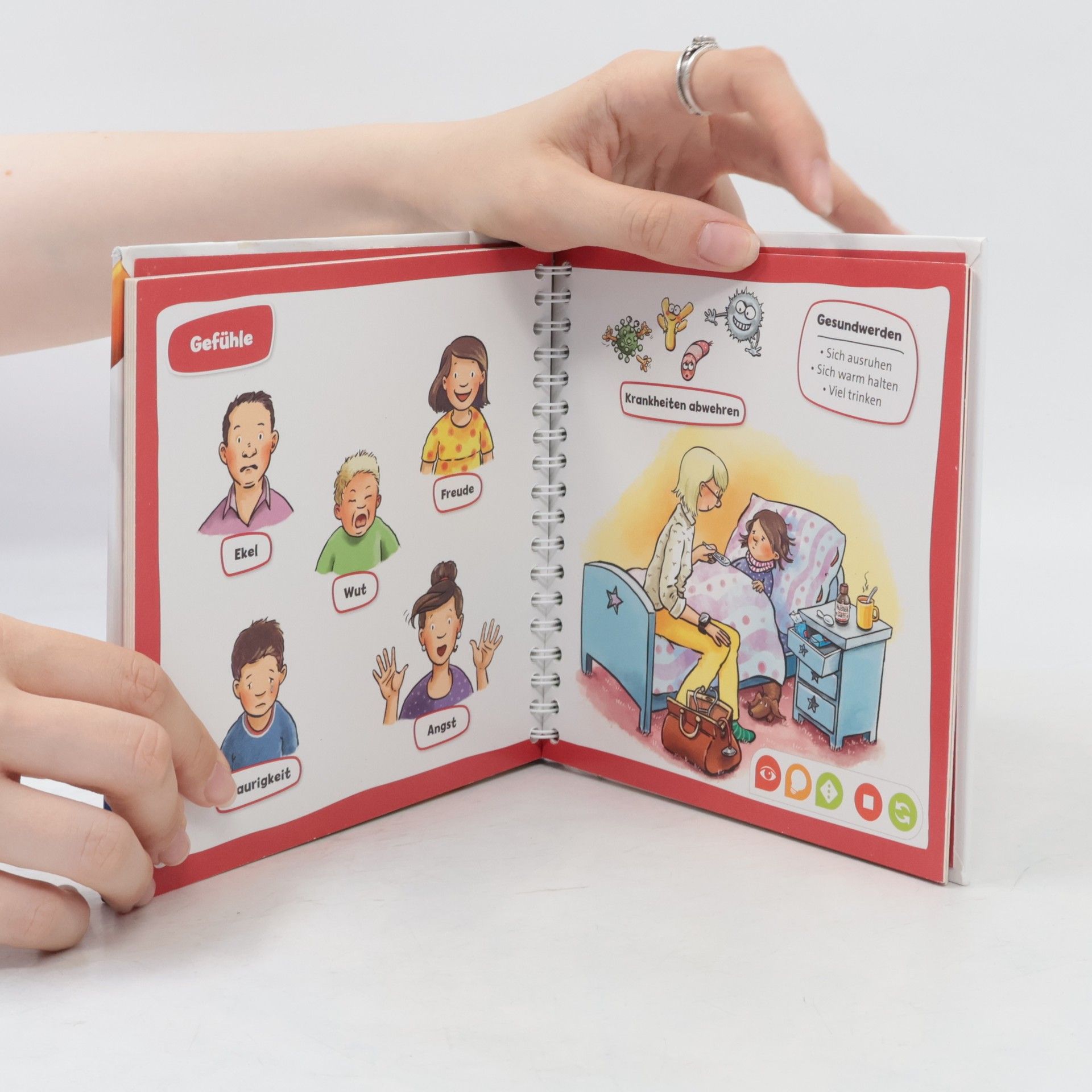 Kolektiv autorů Pocket Wissen: Körper