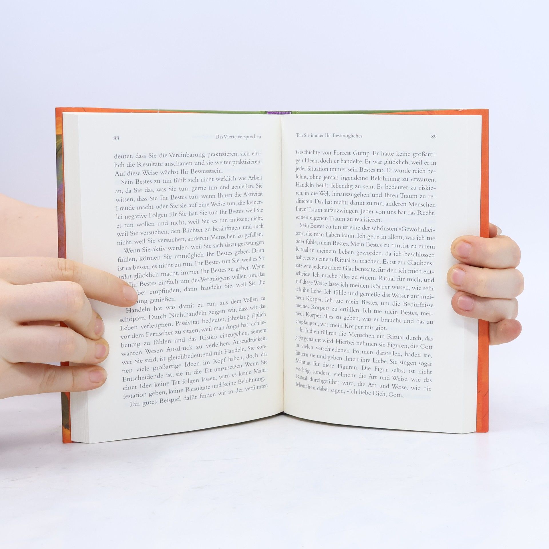 Don Miguel Ruiz Die vier Versprechen