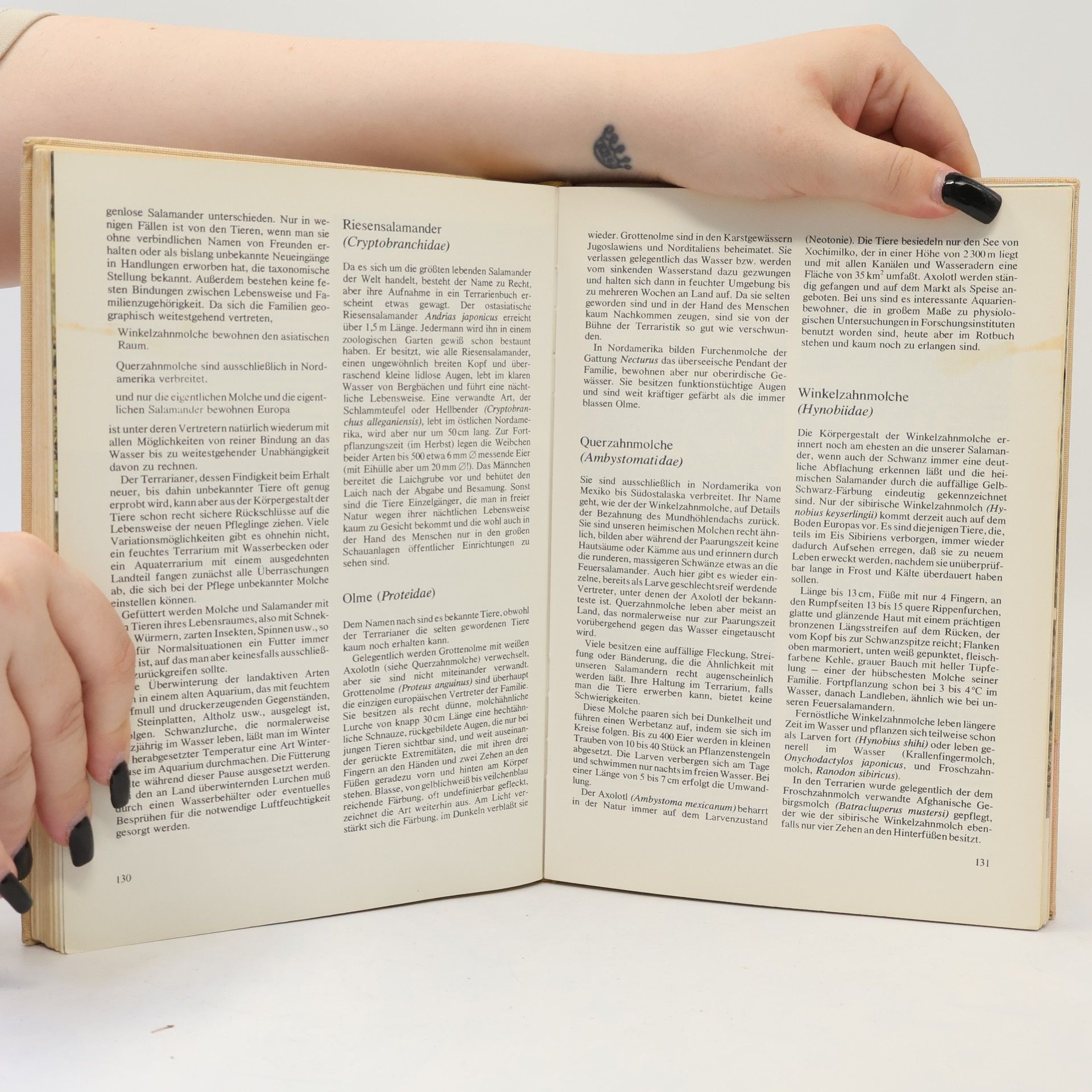 Jürgen Fritzsche Das praktische Terrarienbuch