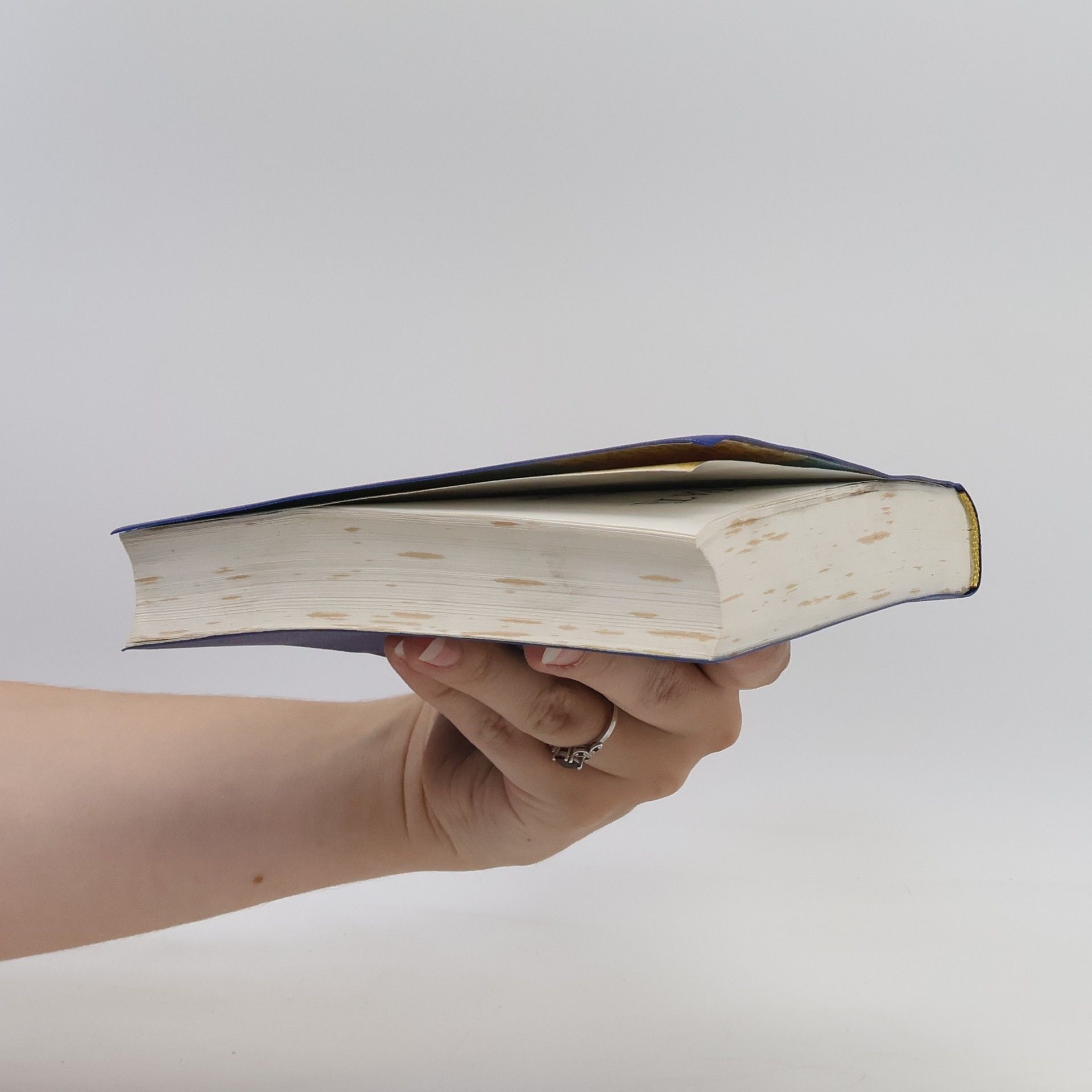 Auteurscollectief Bible svatá aneb všecka svatá písma starého i nového zákona