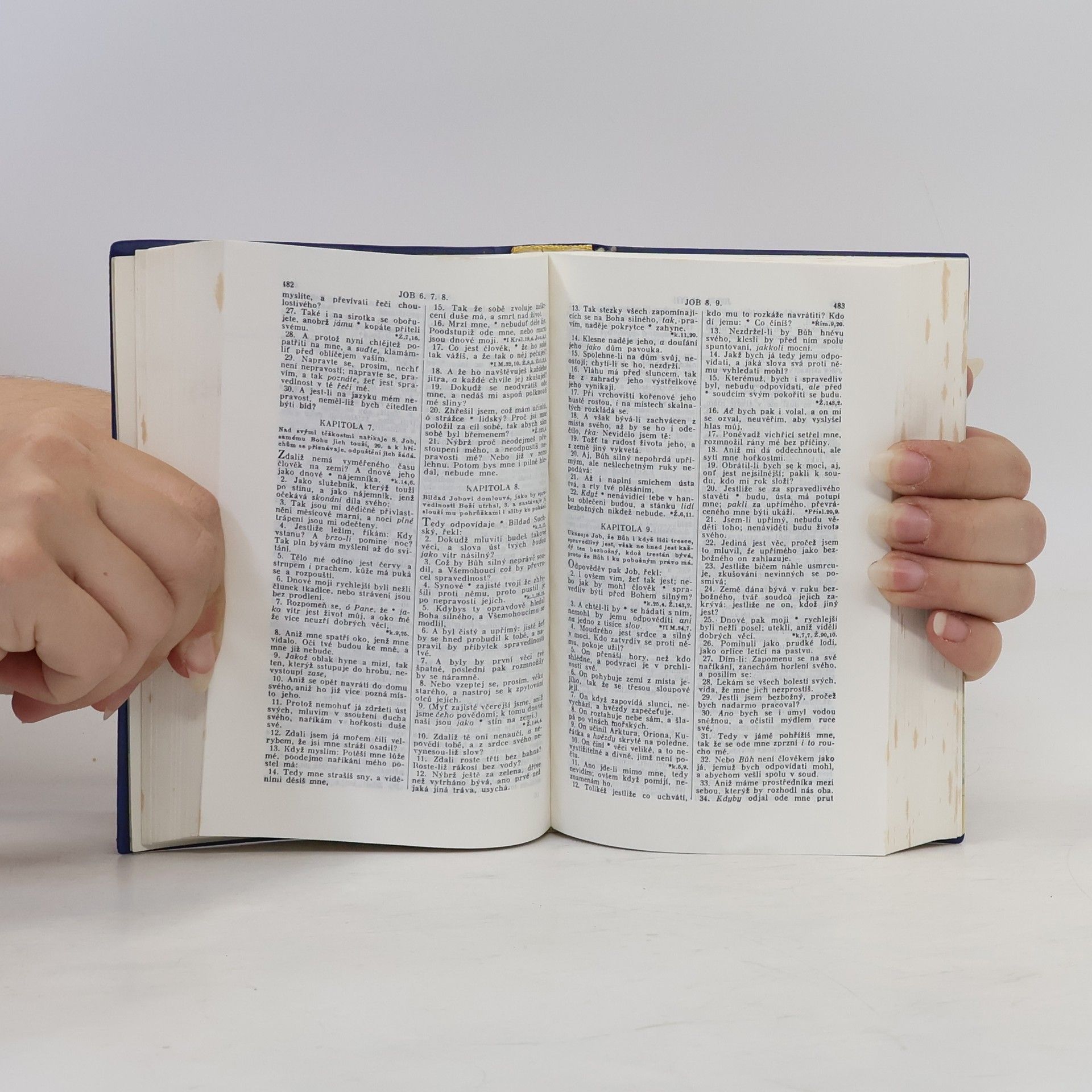 Auteurscollectief Bible svatá aneb všecka svatá písma starého i nového zákona