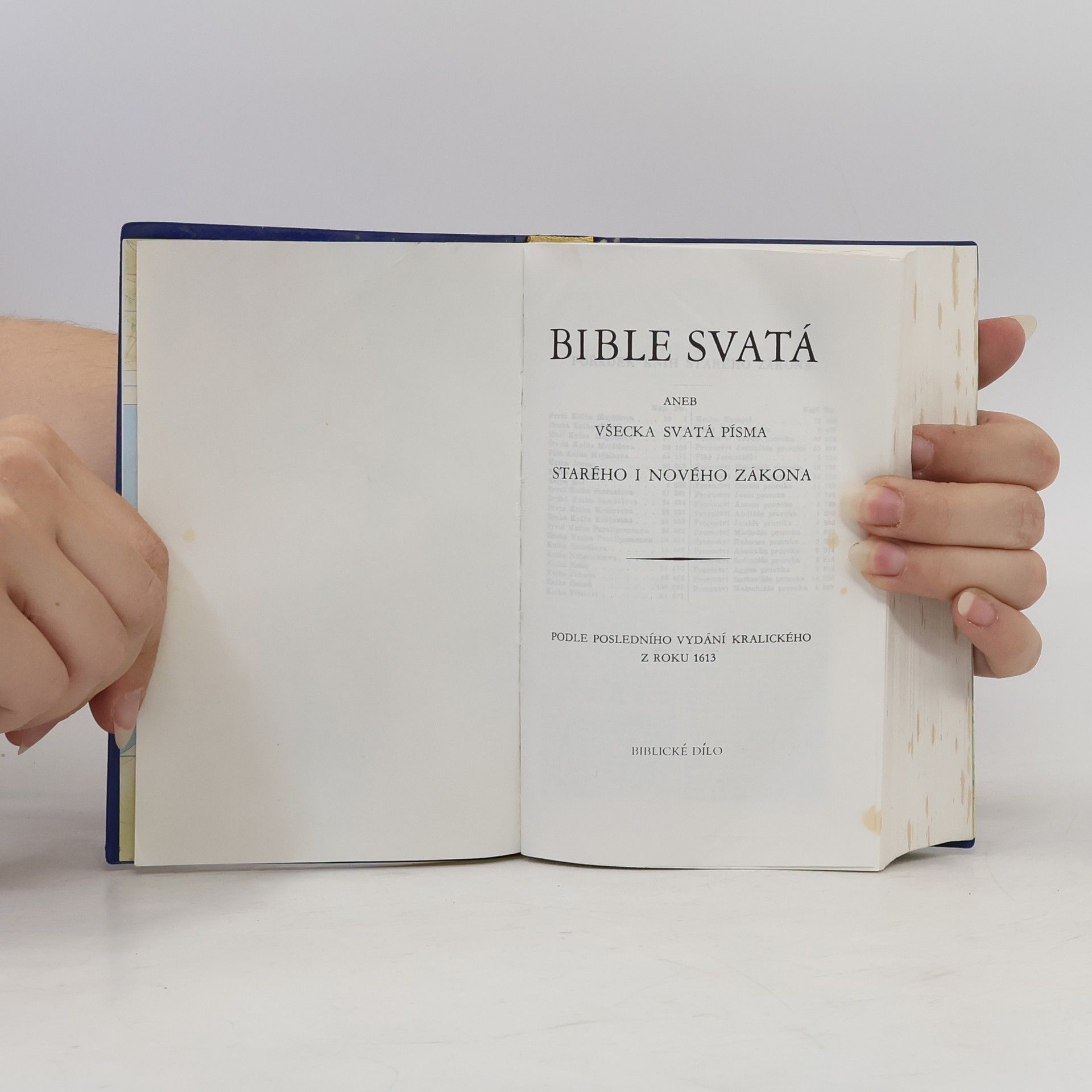 Auteurscollectief Bible svatá aneb všecka svatá písma starého i nového zákona