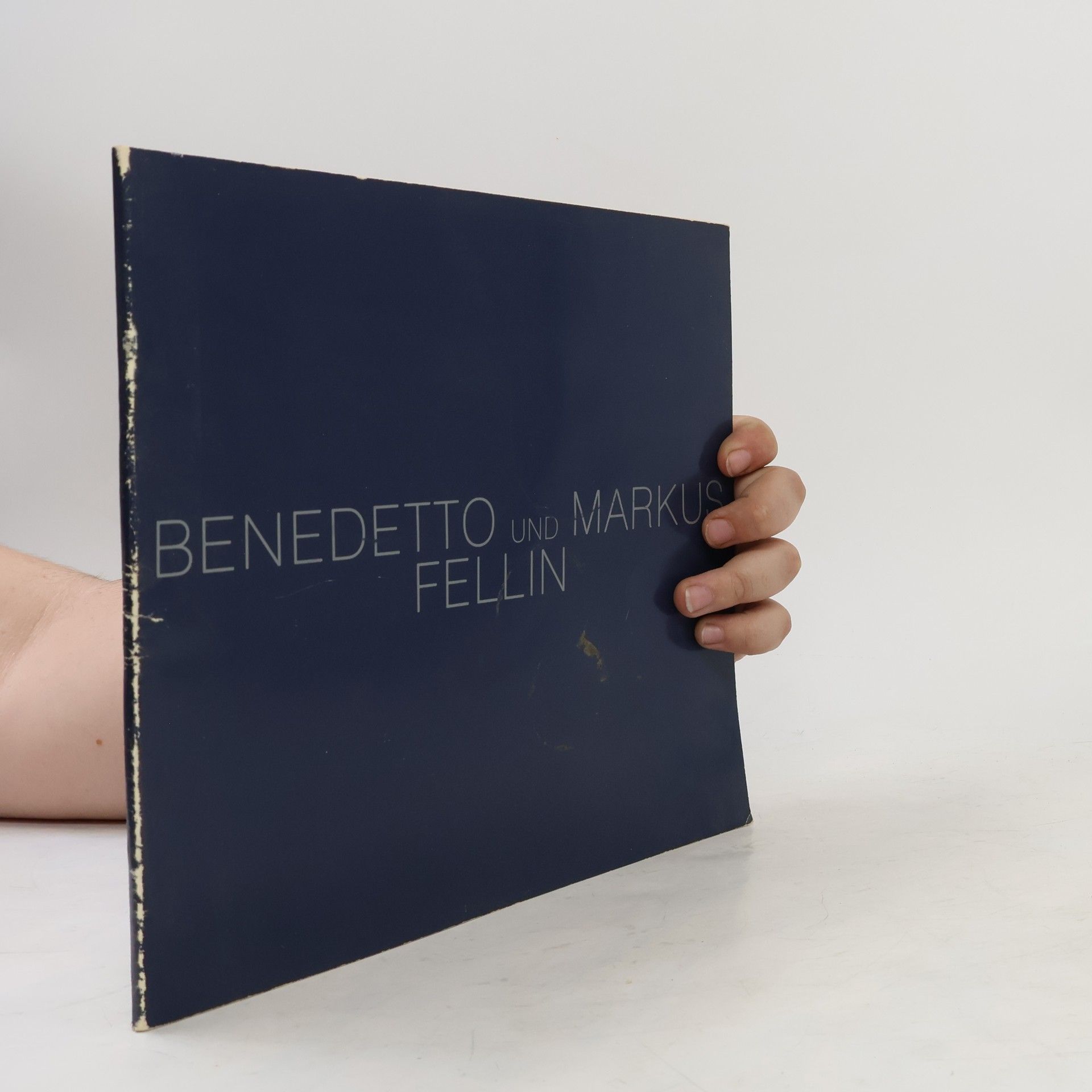 Autorenkollektiv Benedetto und Markus Fellin