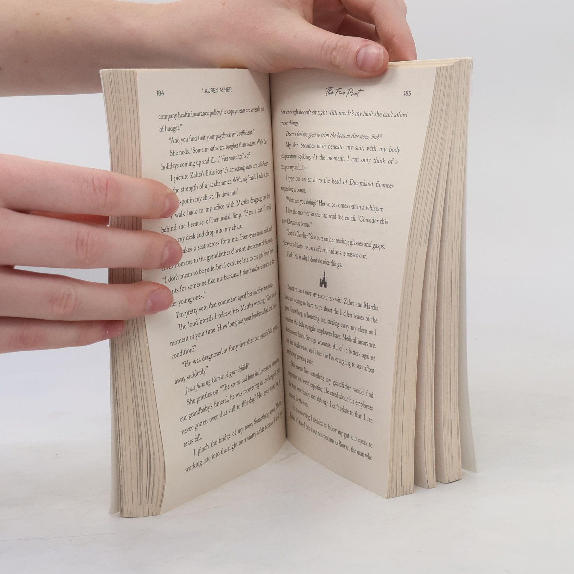 Lauren Asher The Fine Print