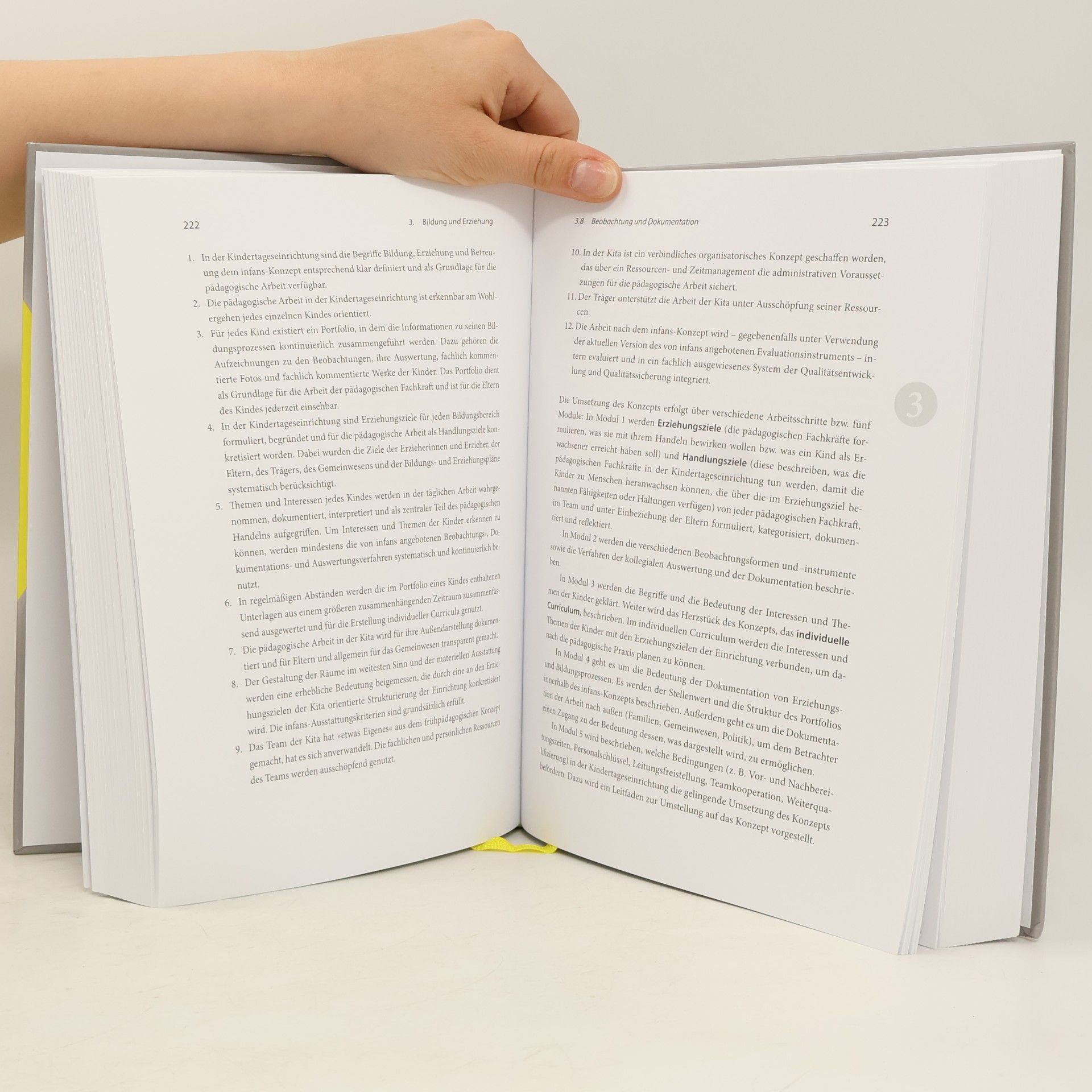 Knut Vollmer Fachwörterbuch Kita