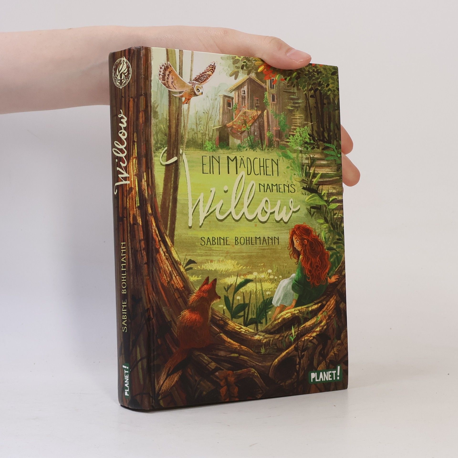 Sabine Bohlmann Ein Mädchen namens Willow