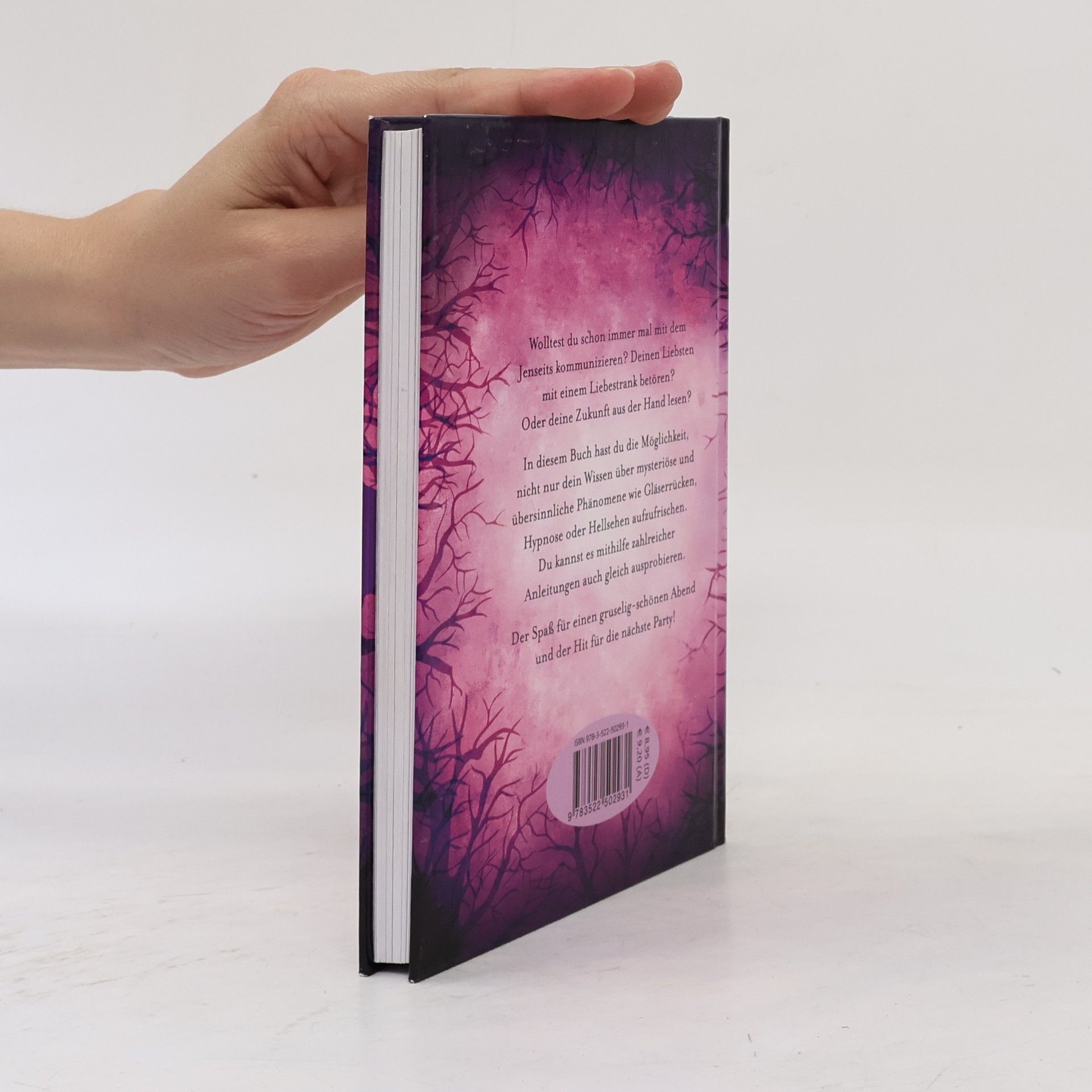 Bettina Domzalski Das Mystery-Handbuch
