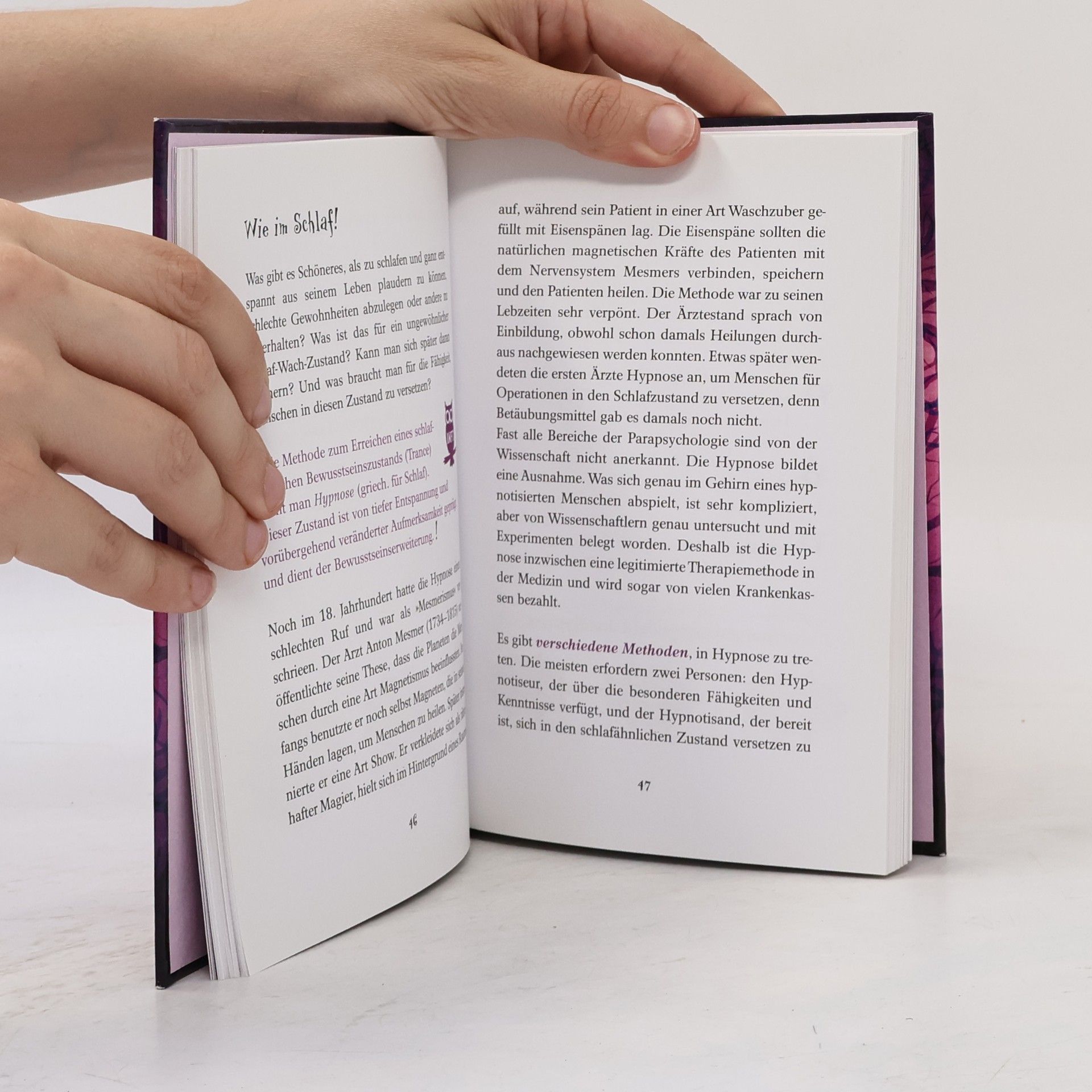 Bettina Domzalski Das Mystery-Handbuch