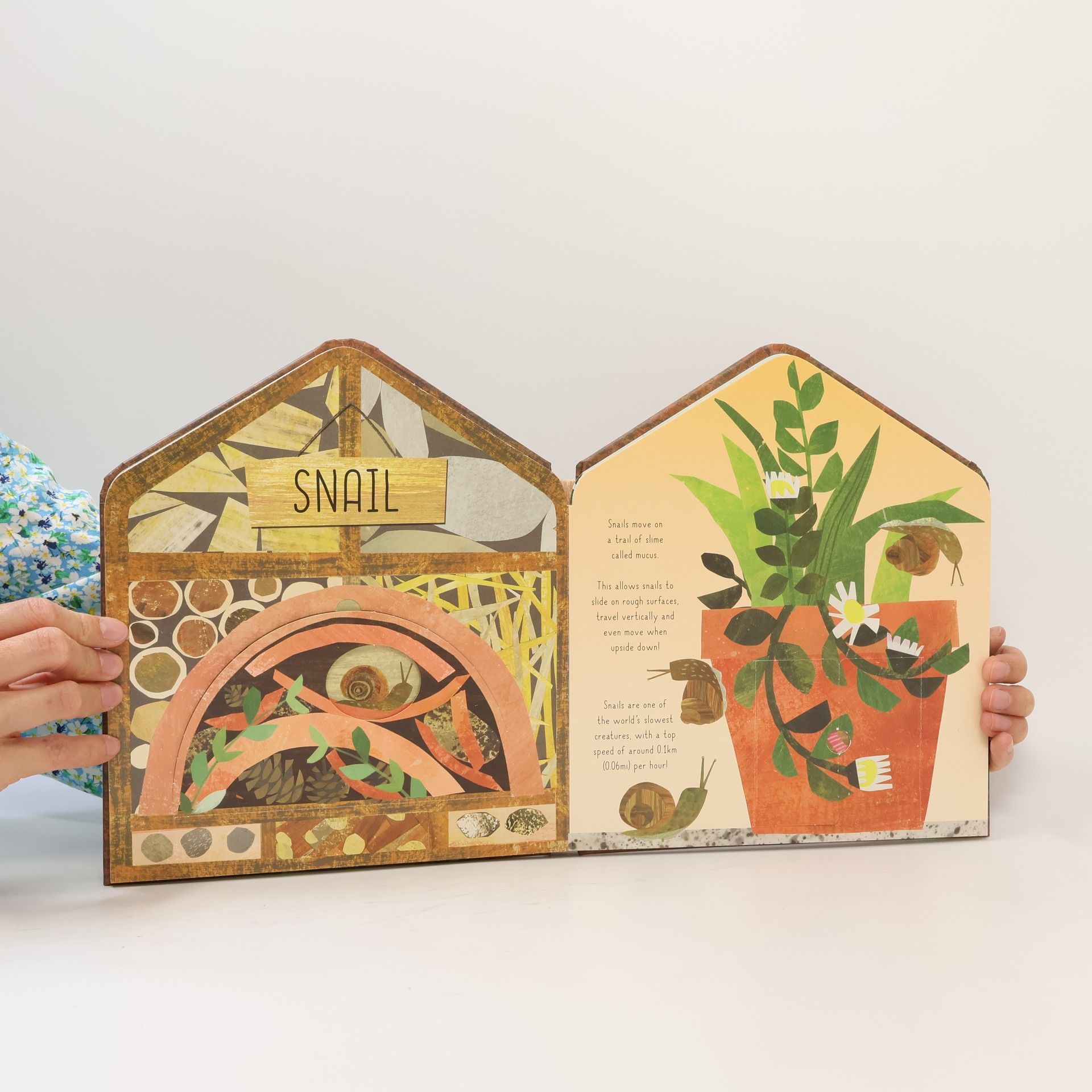 Libby Walden Bug Hotel