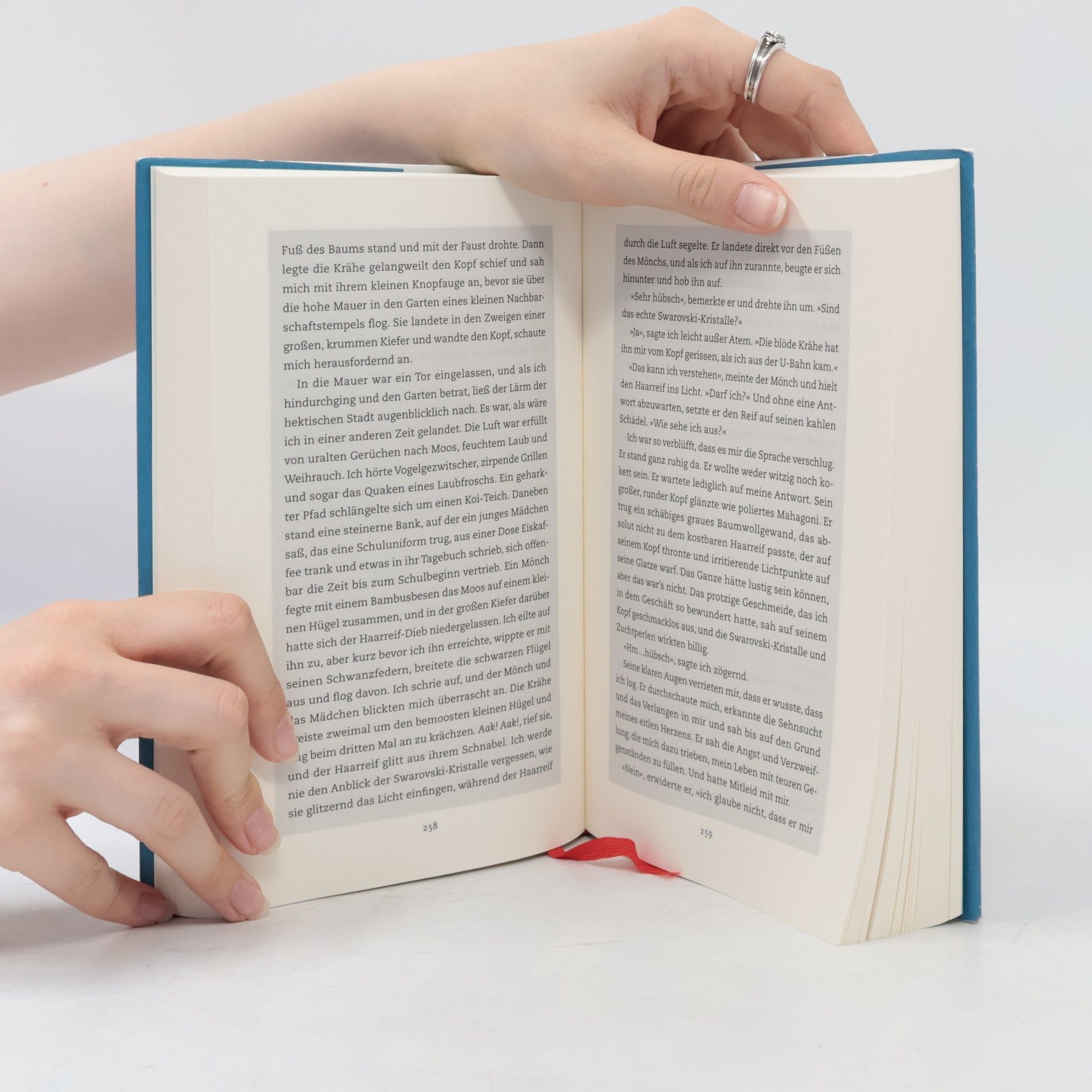 Ruth Ozeki Die leise Last der Dinge