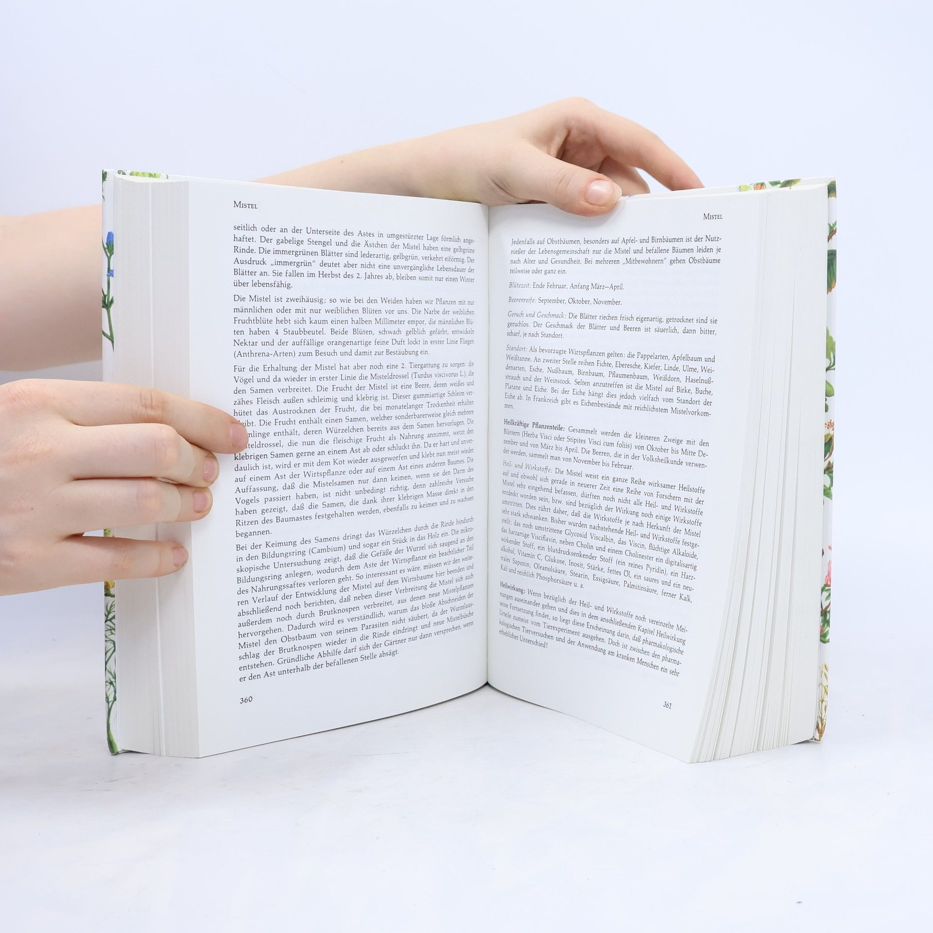 Richard Willfort Das grosse Handbuch der Heilkräuter