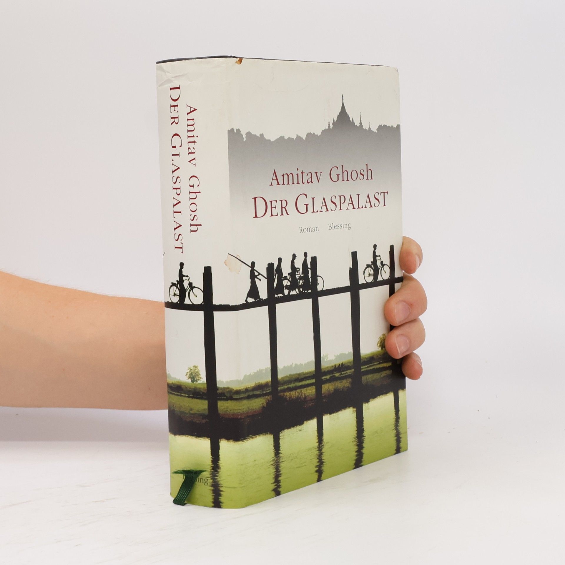Amitav Ghosh Der Glaspalast