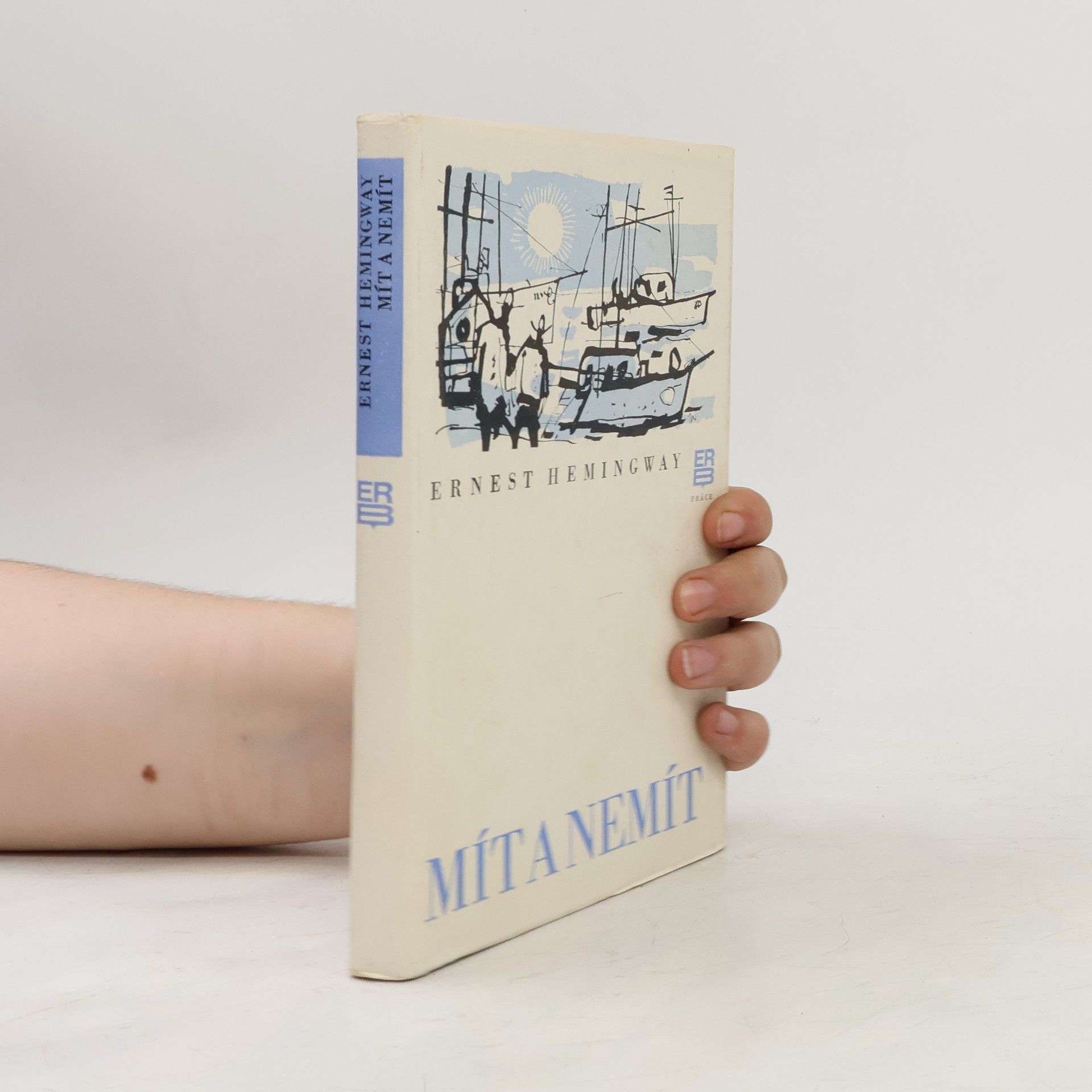 Ernest Hemingway Mít a nemít