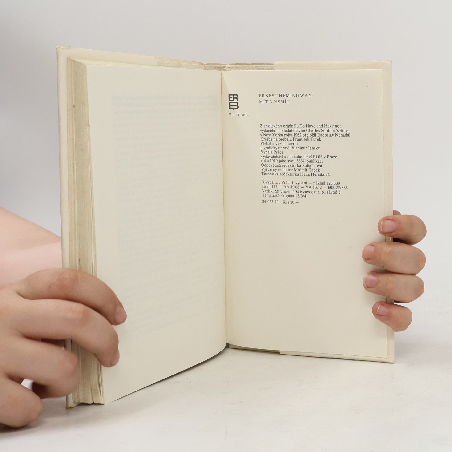 Ernest Hemingway Mít a nemít