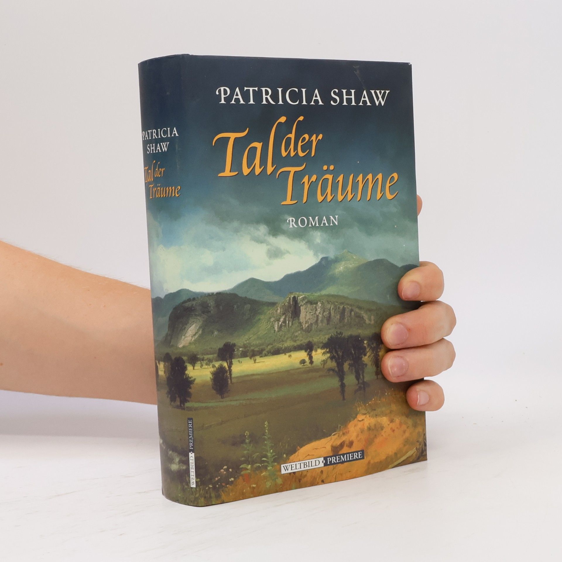 Patricia Shaw Tal der Träume