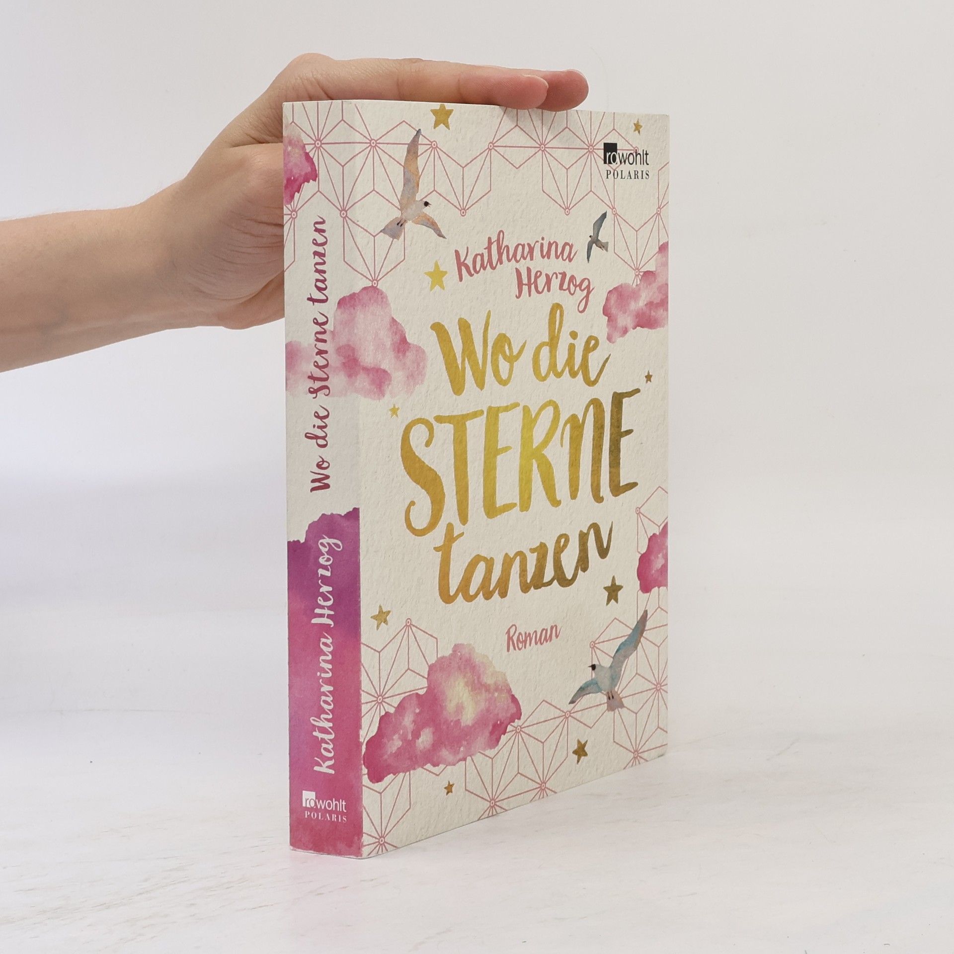 Irene-Katharina Herzog Wo die Sterne tanzen