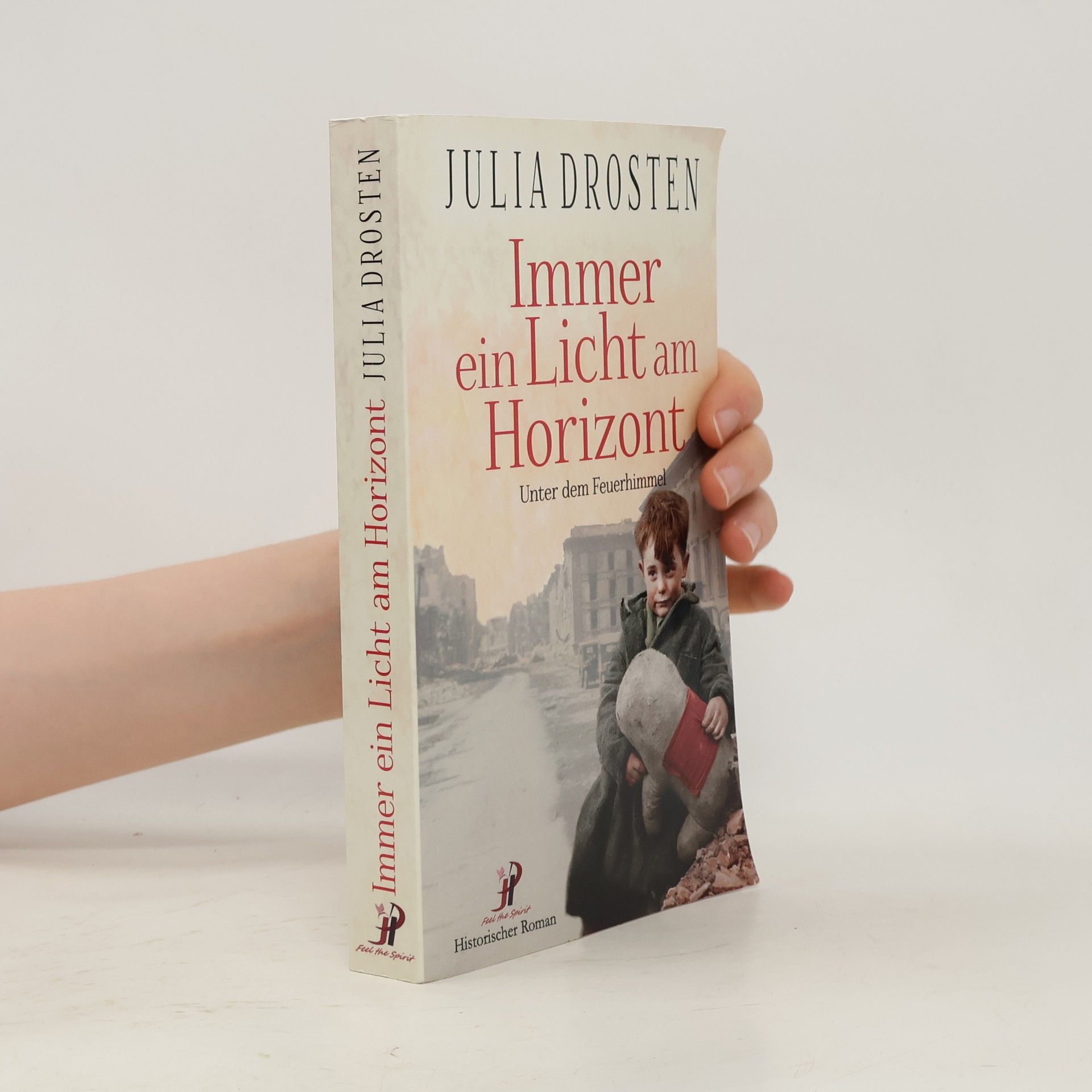 Julia Drosten Schicksalhafte Zeiten: Immer ein Licht am Horizont