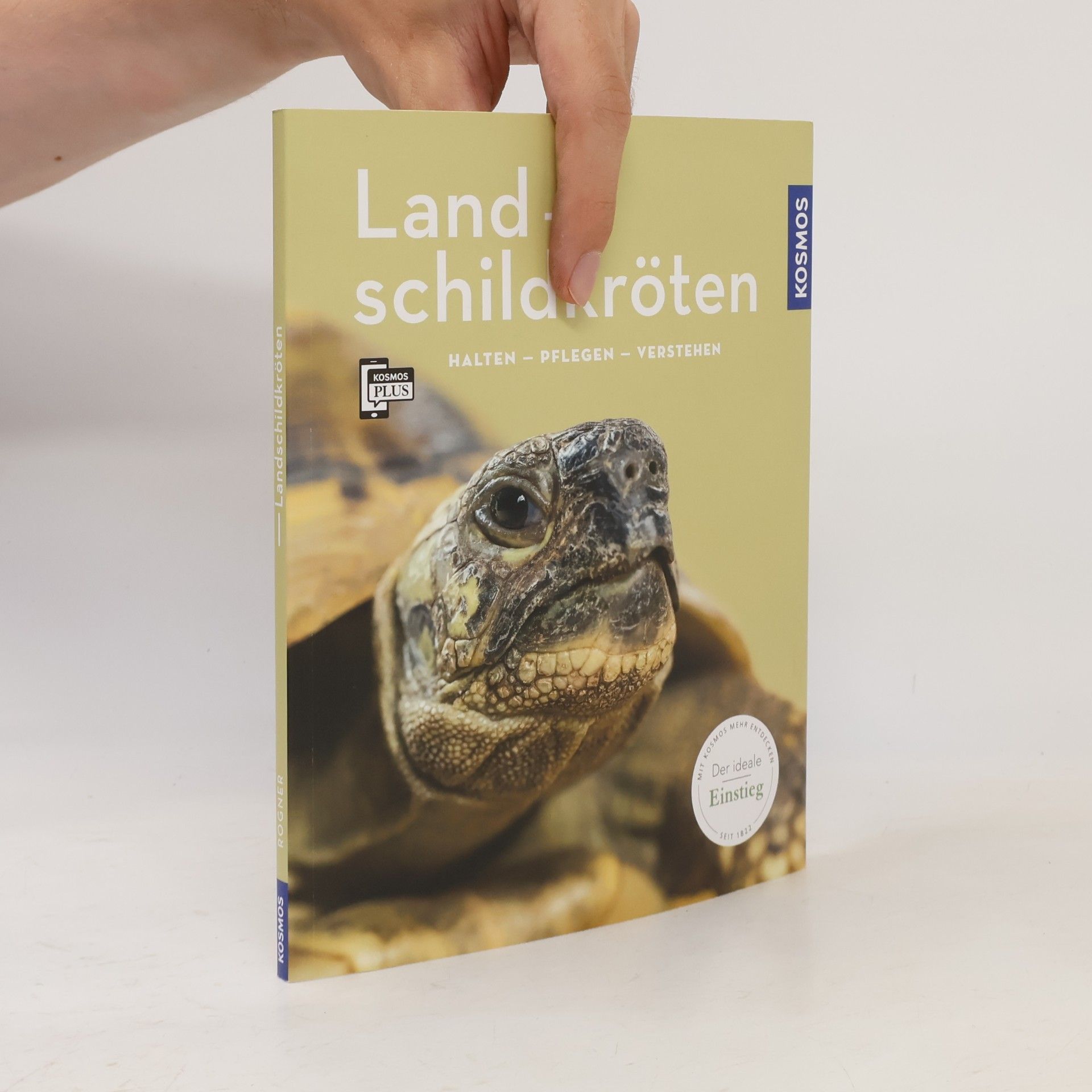 Landschildkröten