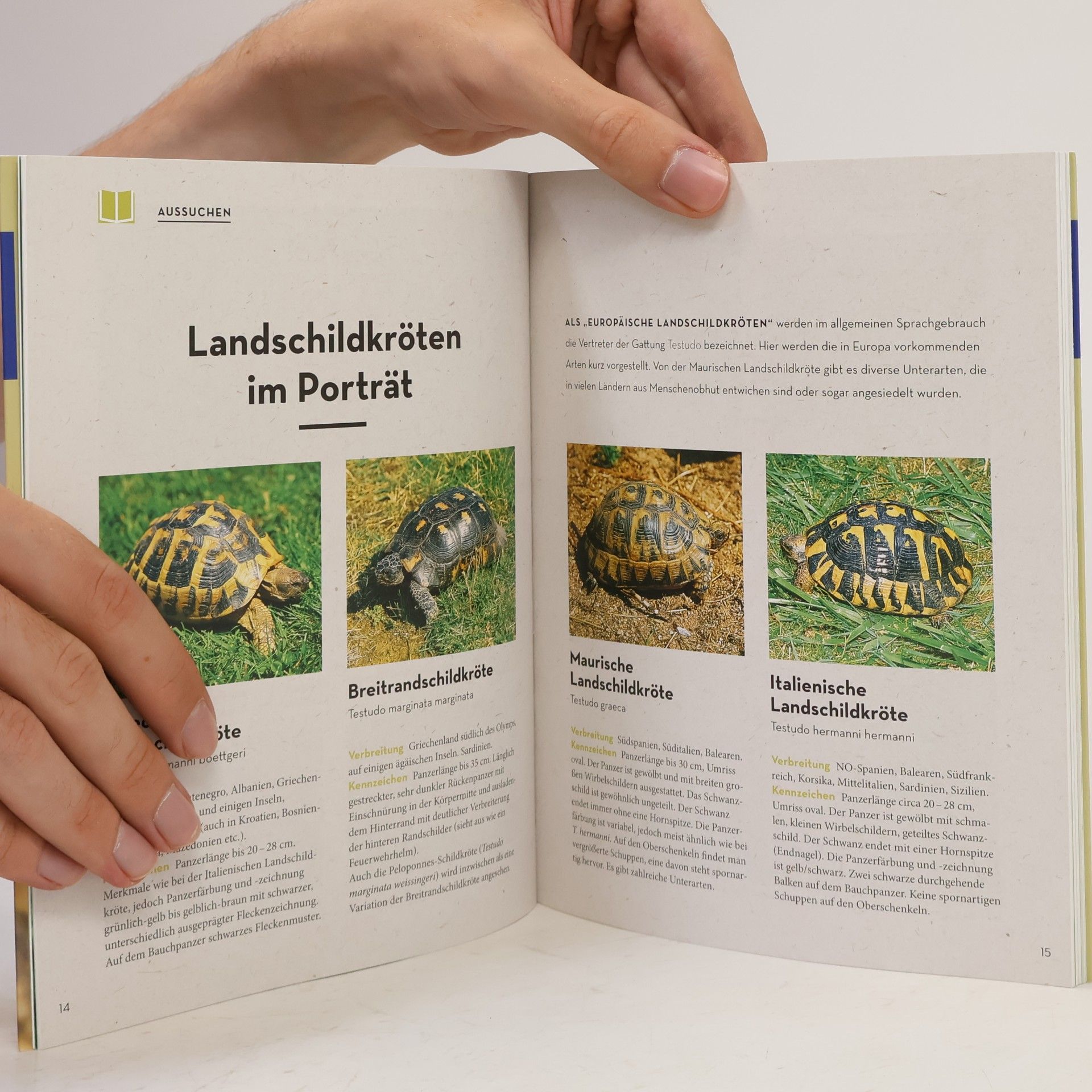 Manfred Rogner Landschildkröten