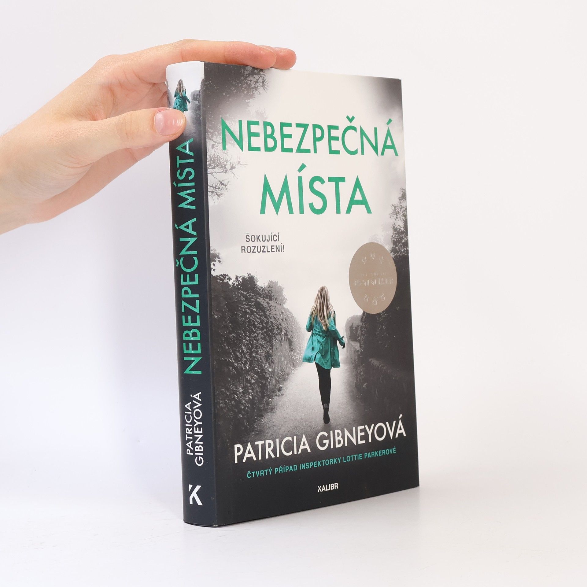 Patricia Gibney Nebezpečná místa