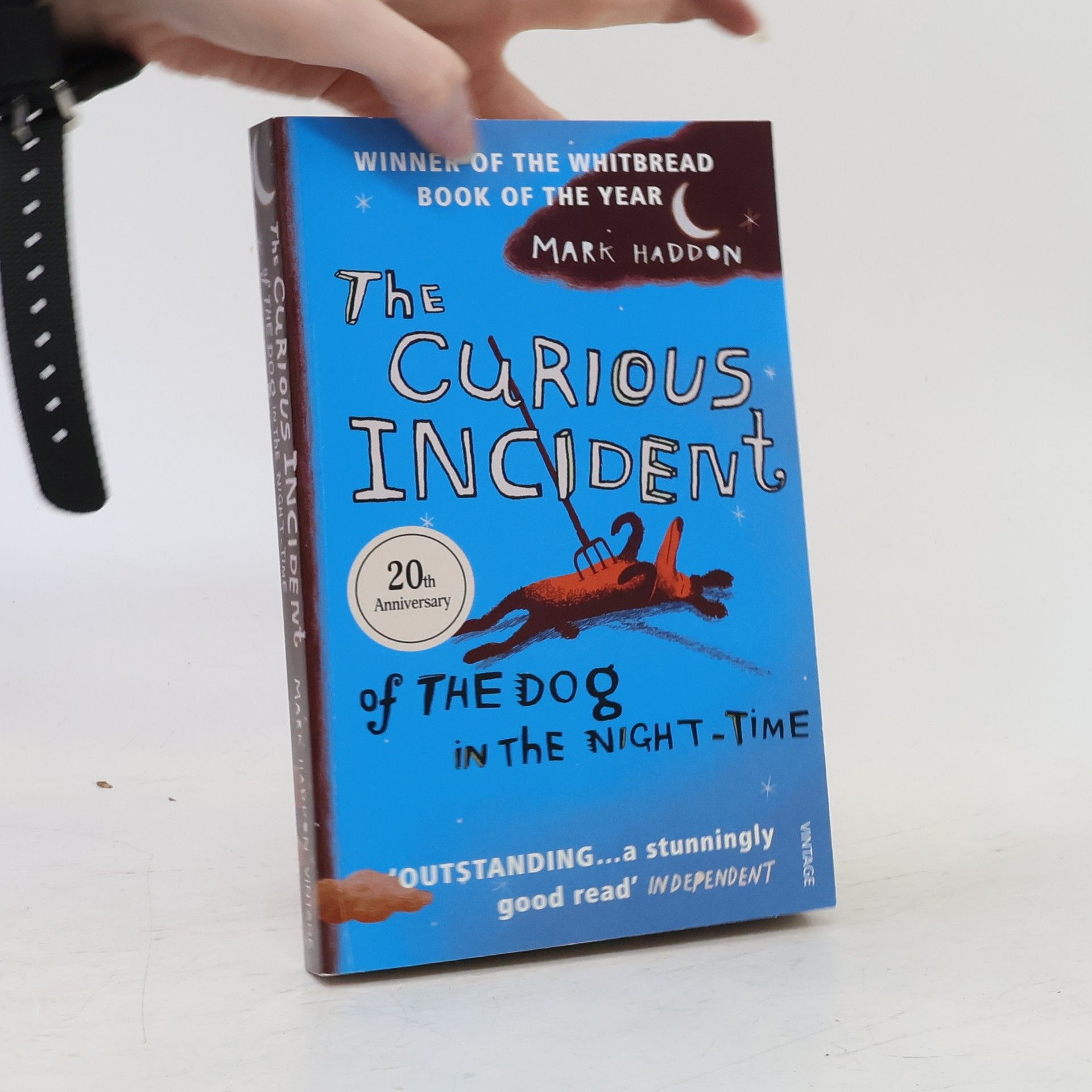 Mark Haddon The Curious Incident of The Dog in The Night-Time
