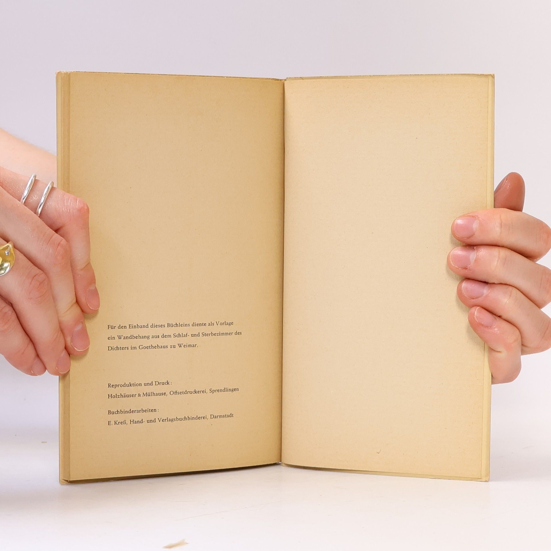 Carl Vogel Die letzte Krankheit Goethe's