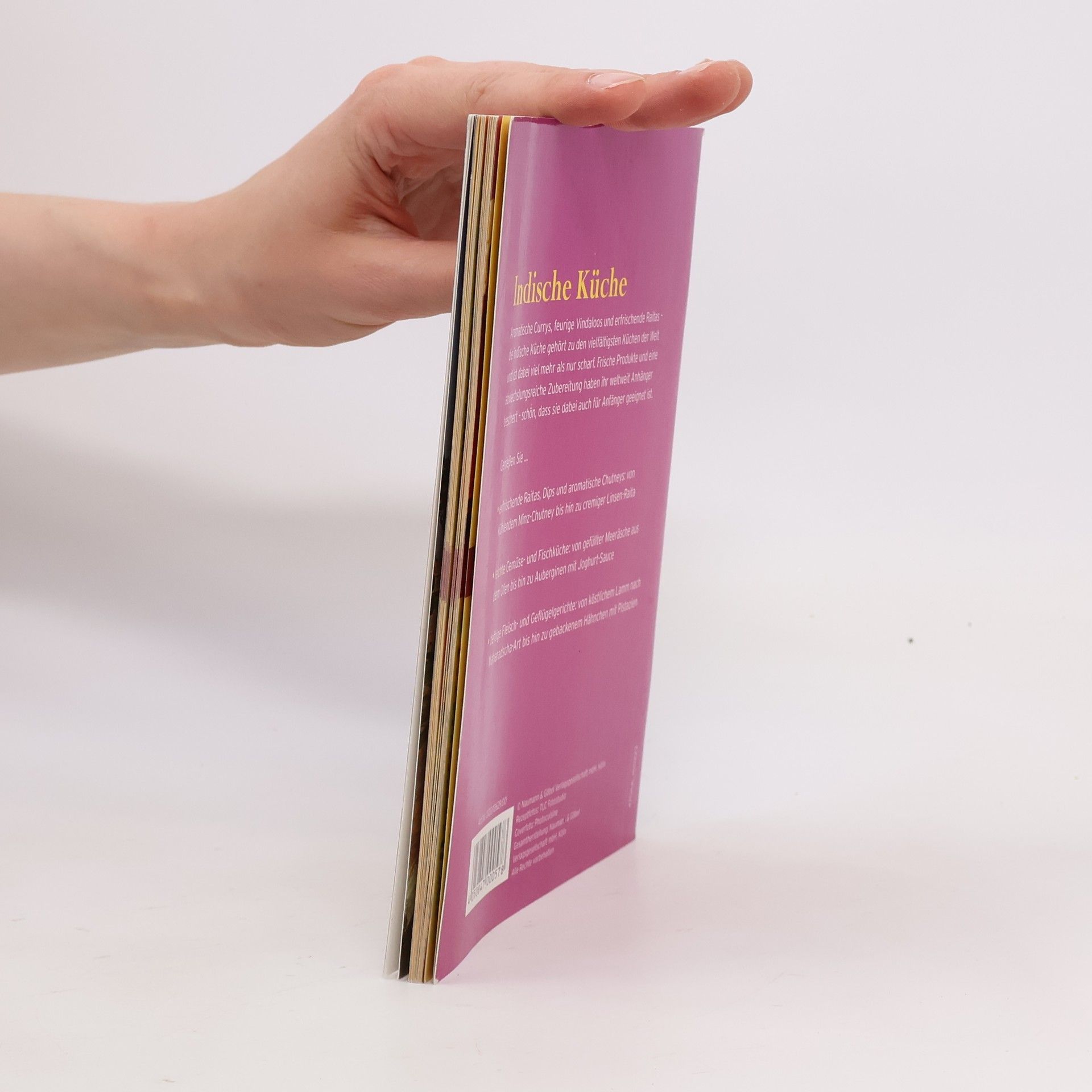 Autores varios Indische Küche