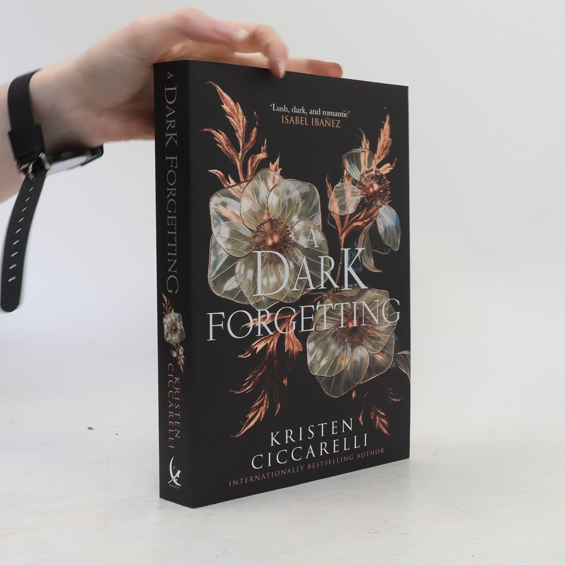 Isabel Ibañez A Dark Forgetting