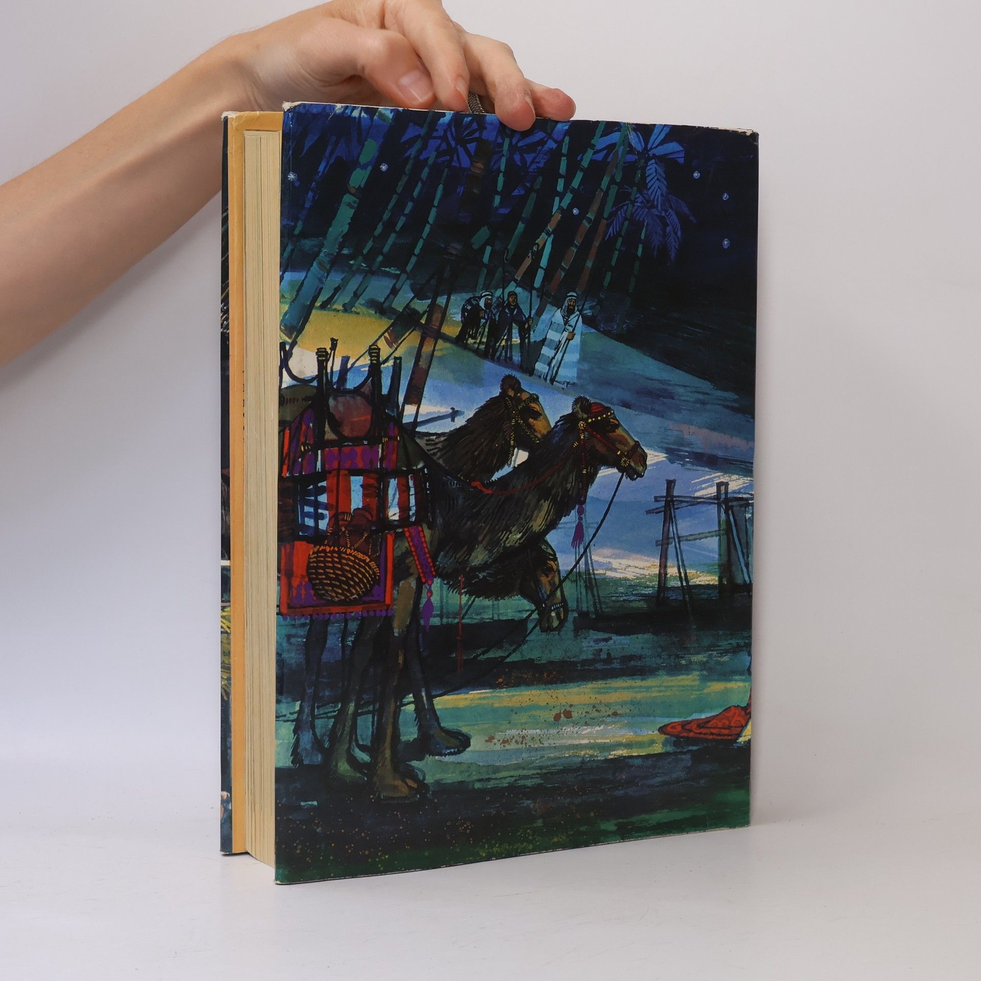 Paul Hamlyn The Catholic Children's Bible in Colour