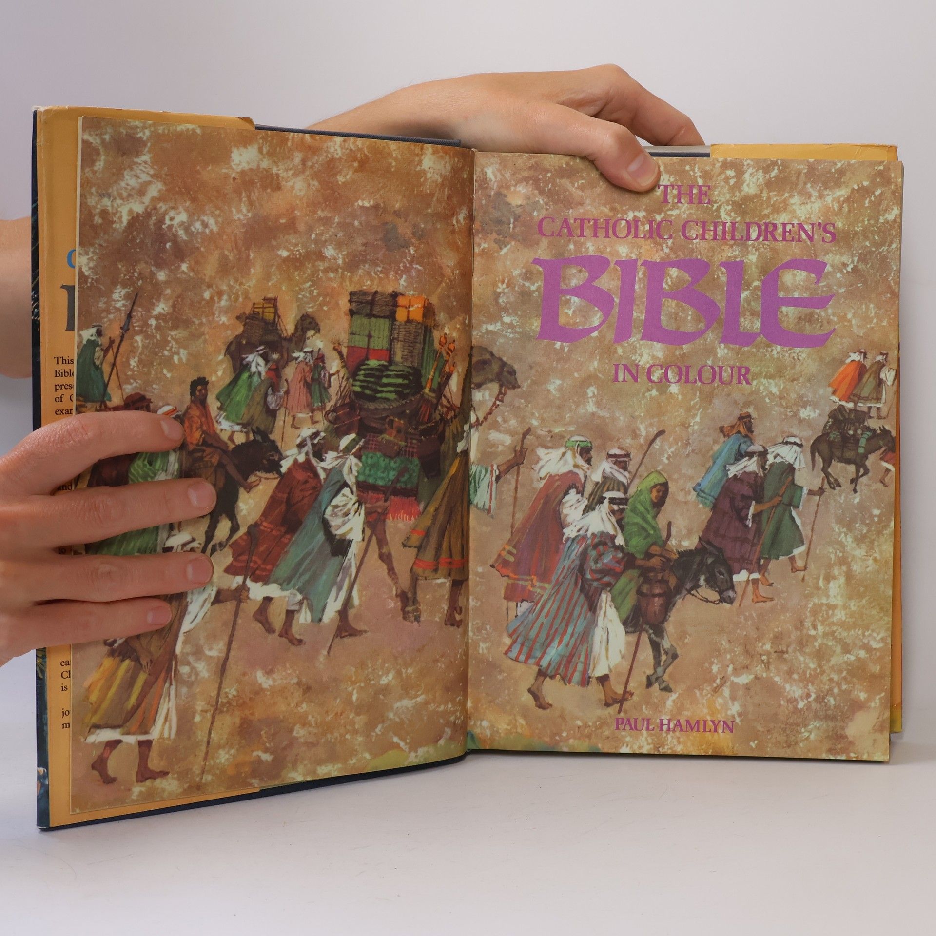 Paul Hamlyn The Catholic Children's Bible in Colour