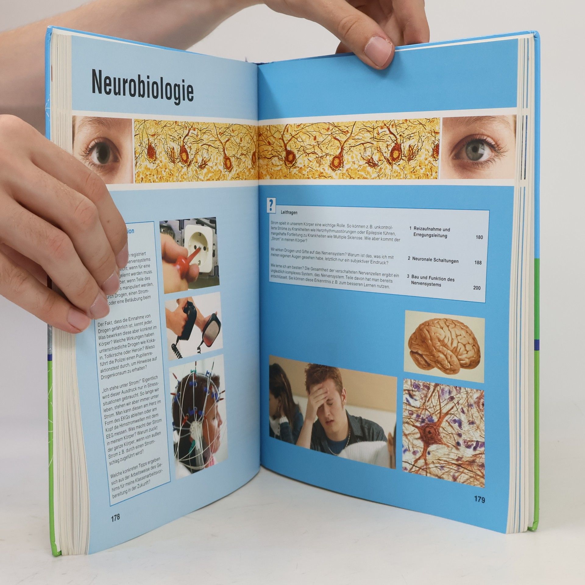 Kolektív autorov Natura Fachhochschulreife. 11.-13. Schuljahr. Schülerbuch