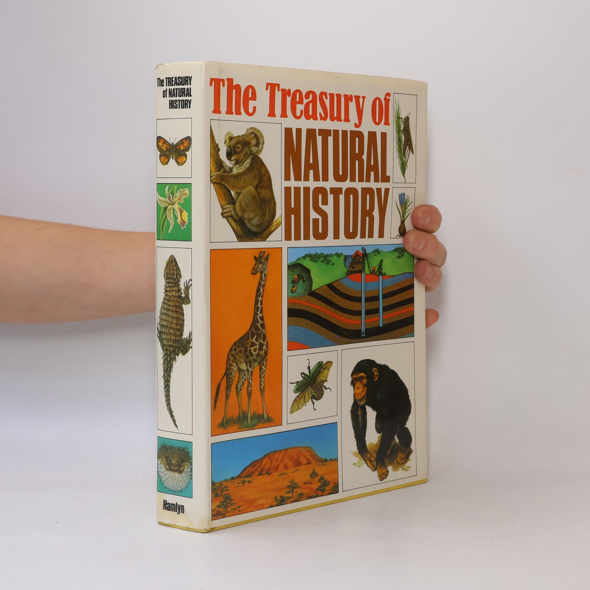 Bertha Morris Parker The Treasury of Natural History