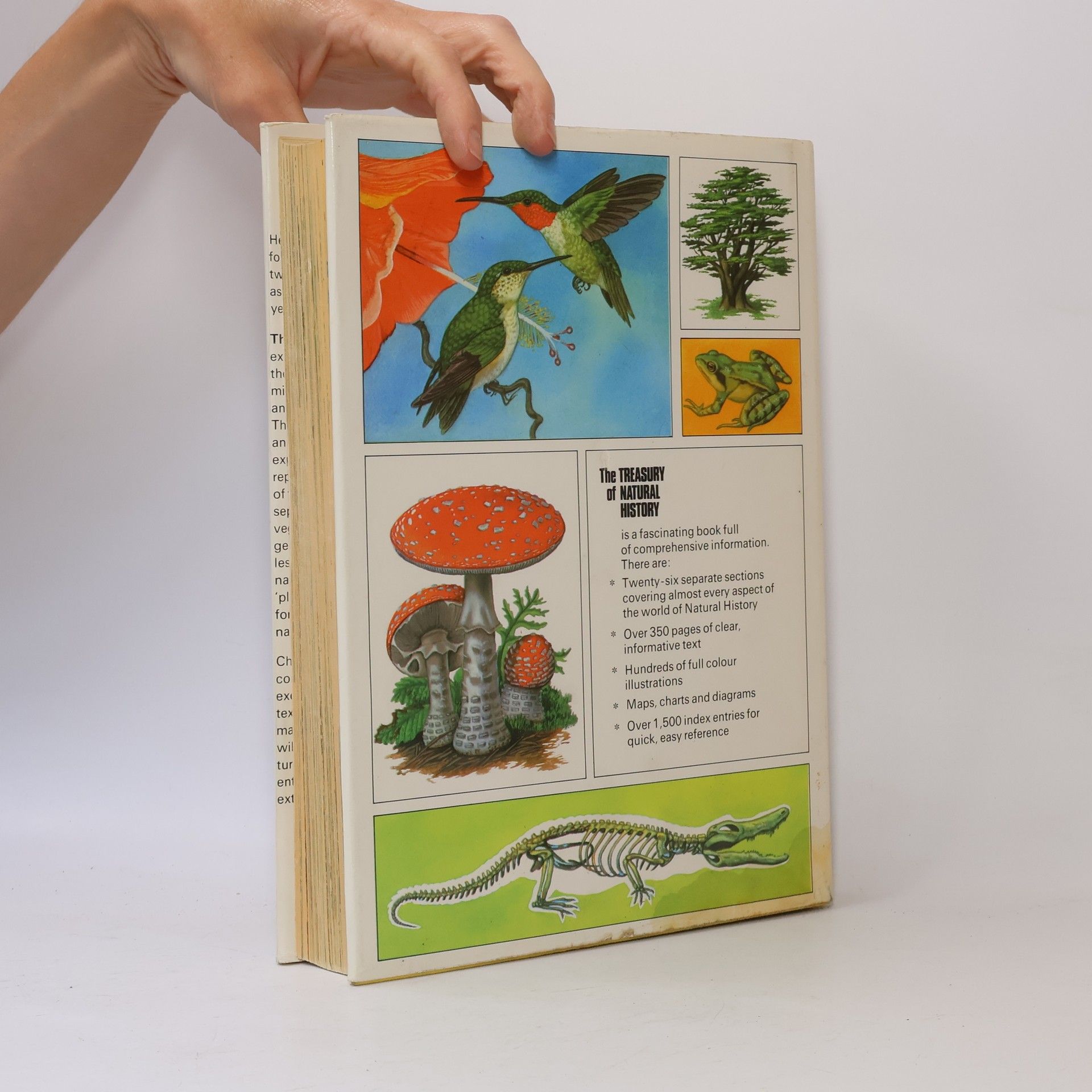 Bertha Morris Parker The Treasury of Natural History