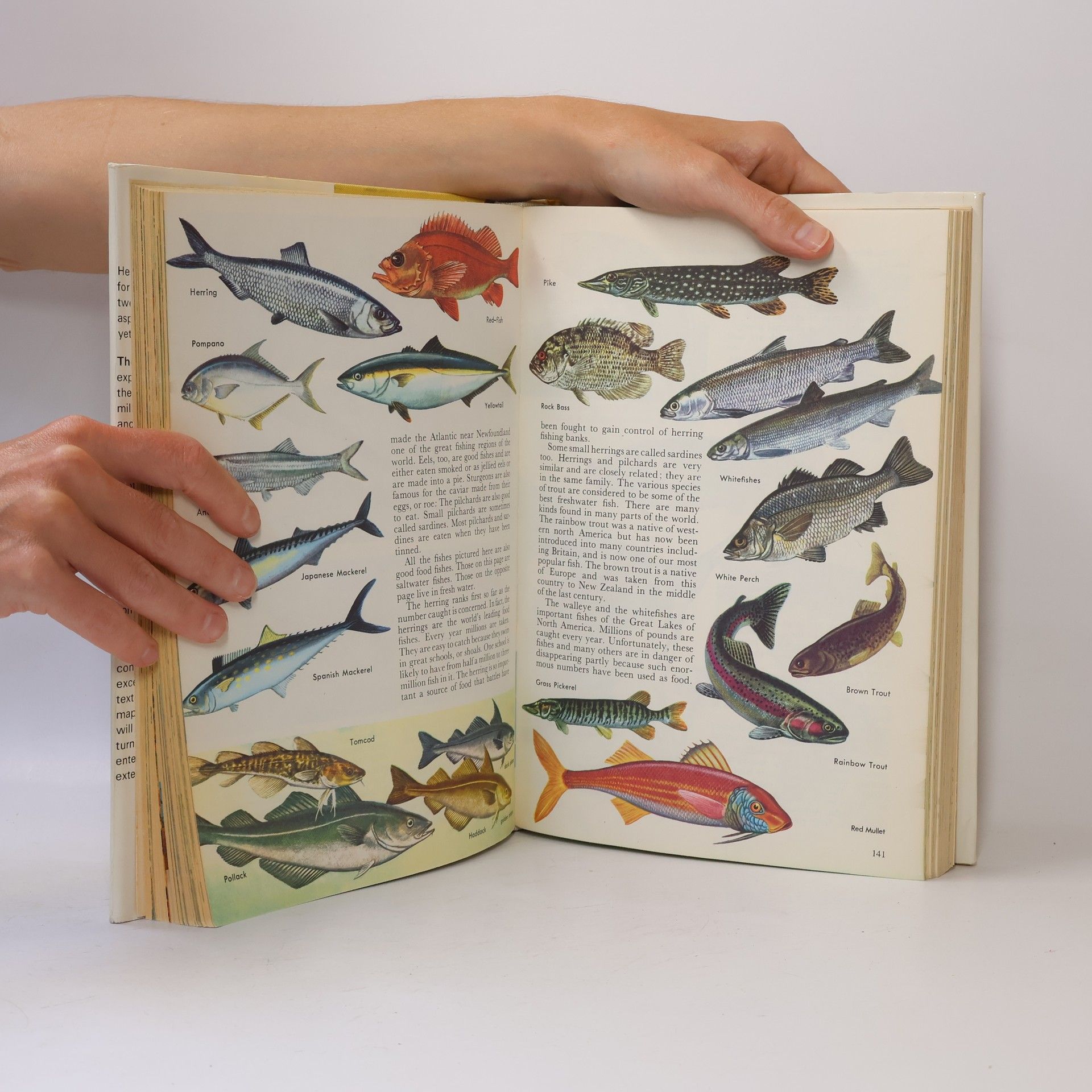 Bertha Morris Parker The Treasury of Natural History