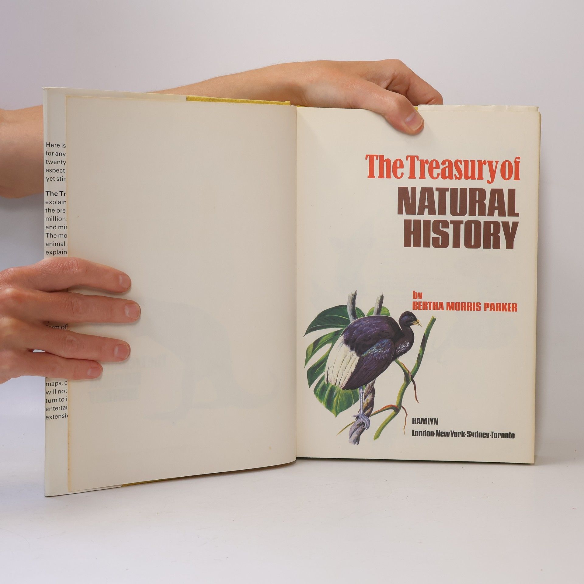Bertha Morris Parker The Treasury of Natural History