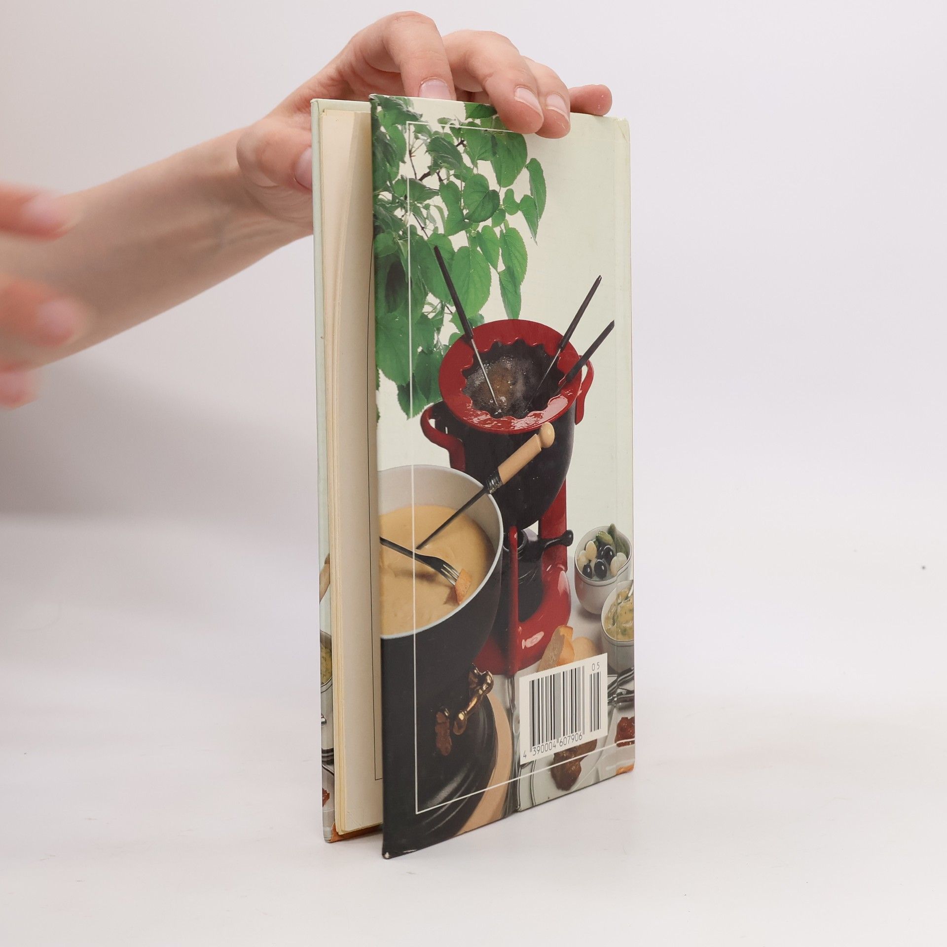 Collectif d'auteurs Fondues, Raclettes und Feuertöpfe