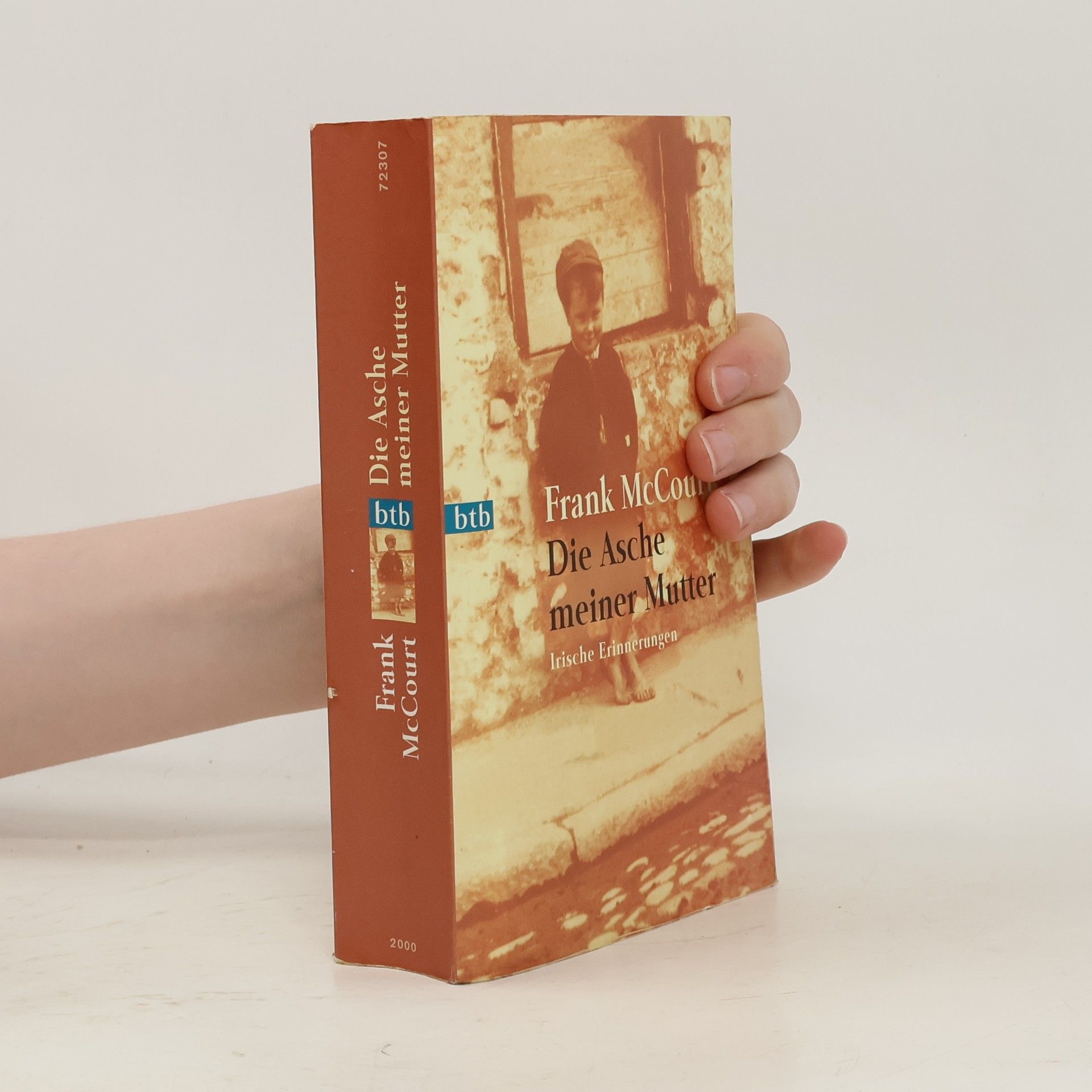 Frank McCourt Die Asche meiner Mutter